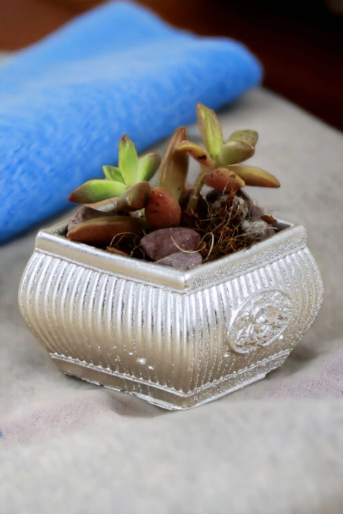 Gümüş thumbnail image