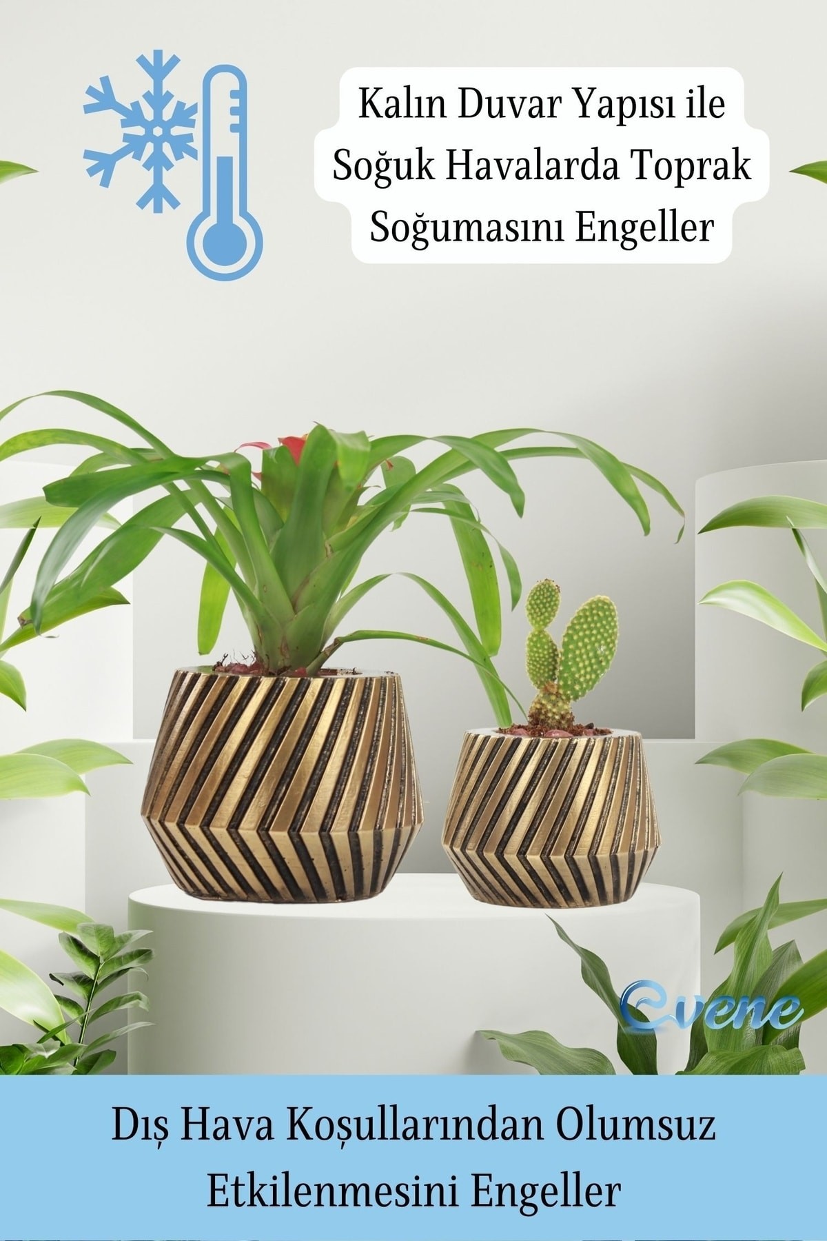 Saksı Çiçek Kaktüs Saksısı Lüx 15 Cm Altın Eskitme Varak Boya Mekanik Dişli Desen Saksı 2li Çiçeklik