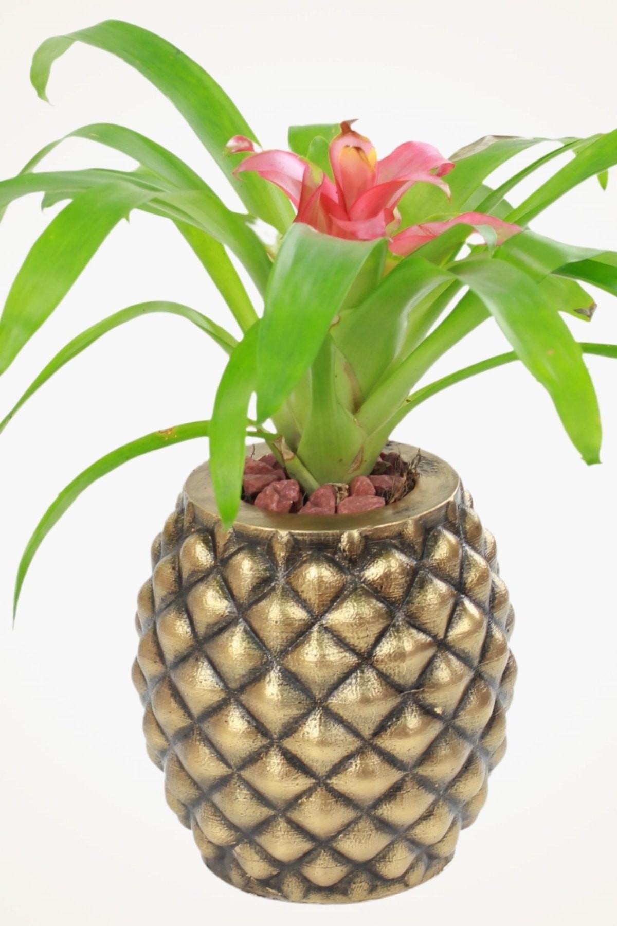 Dekoratif Saksı Altın Eskitme Büyük Çiçek Saksısı Ananas Model