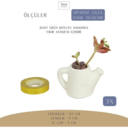Stein Kohle Dekoratif Saksı Minik Kaktüs Saksısı Mini Çaydanlık Model