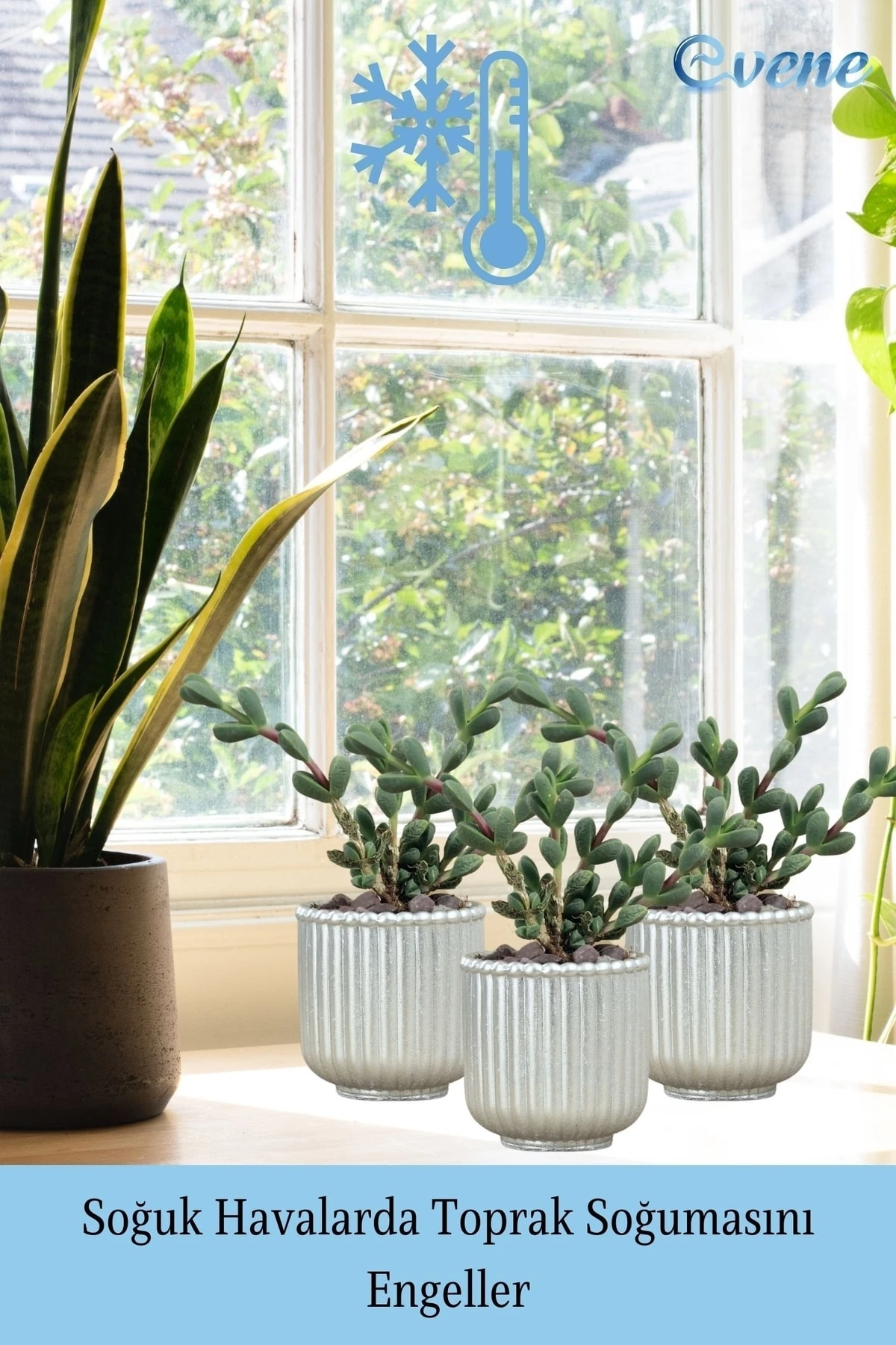 Mini Çiçek Saksı Küçük Sukulent Gümüş Kaktüs Saksısı 3'lü Set Vintage Düz Çizgili Model