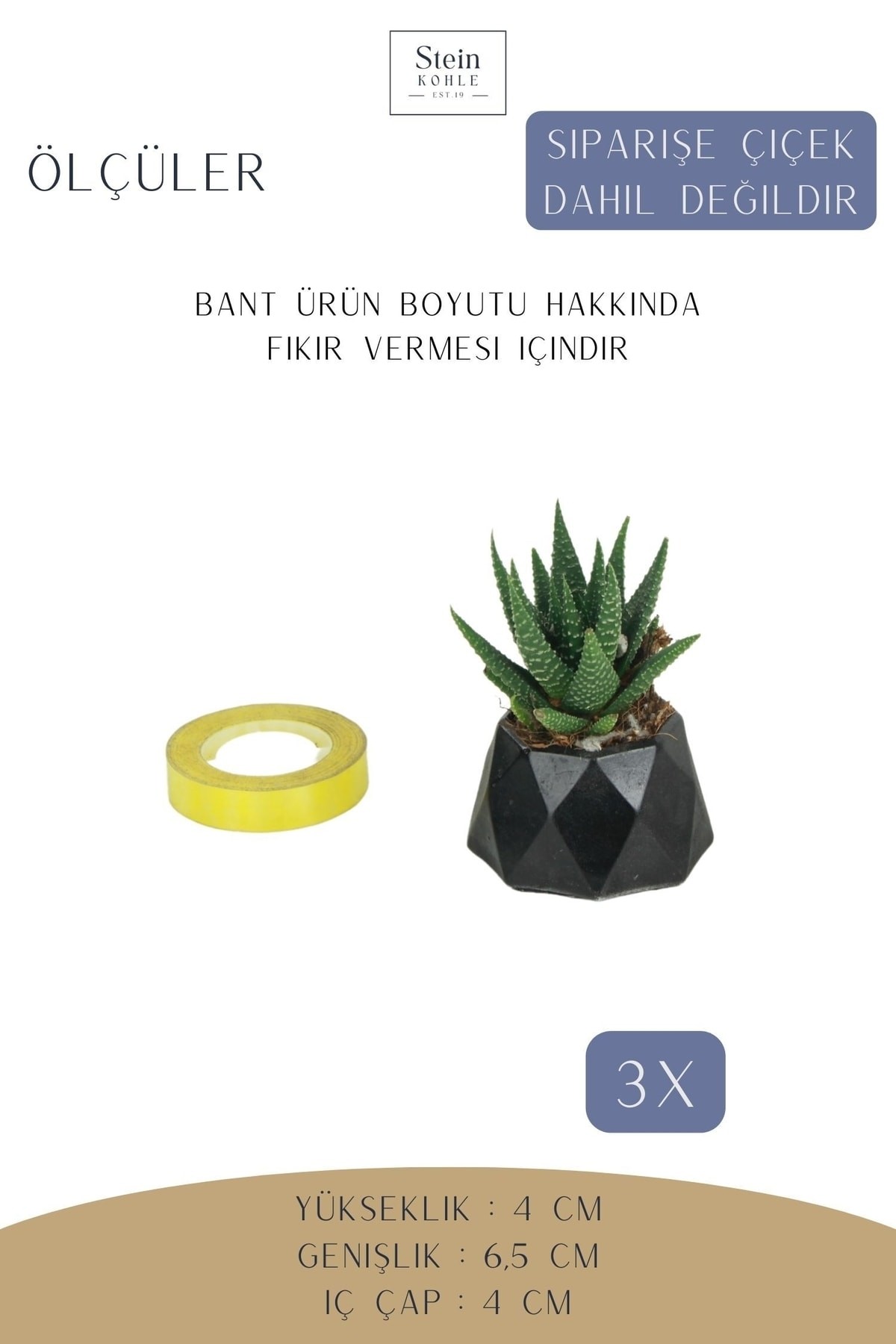 Dekoratif Saksı Minik Kaktüs Saksısı Siyah Renk 3 Adet Saksı Seti Mini Poly 1 Model