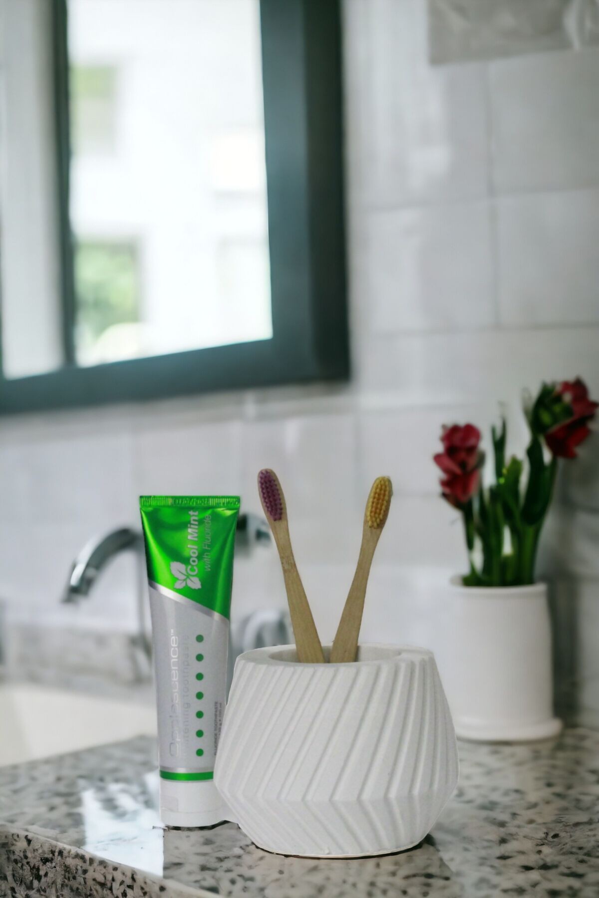 Diş Fırçası Kabı Diş Fırçalığı Fırçalık Beyaz Renk Model 21