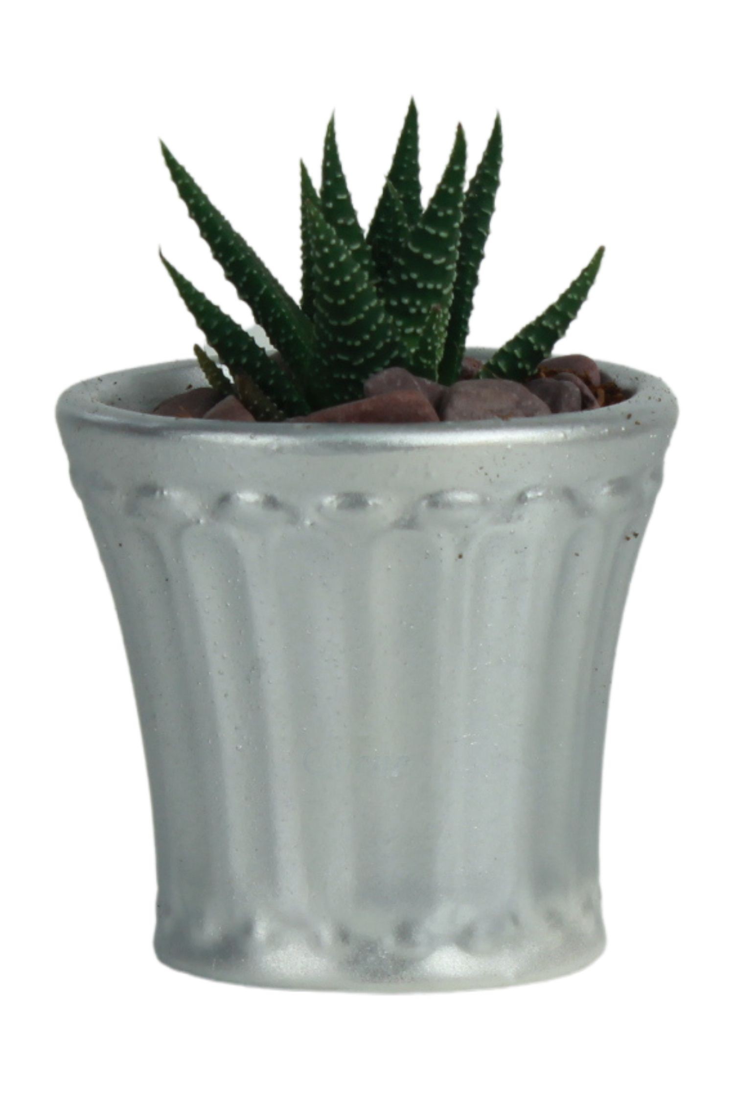Gümüş thumbnail image
