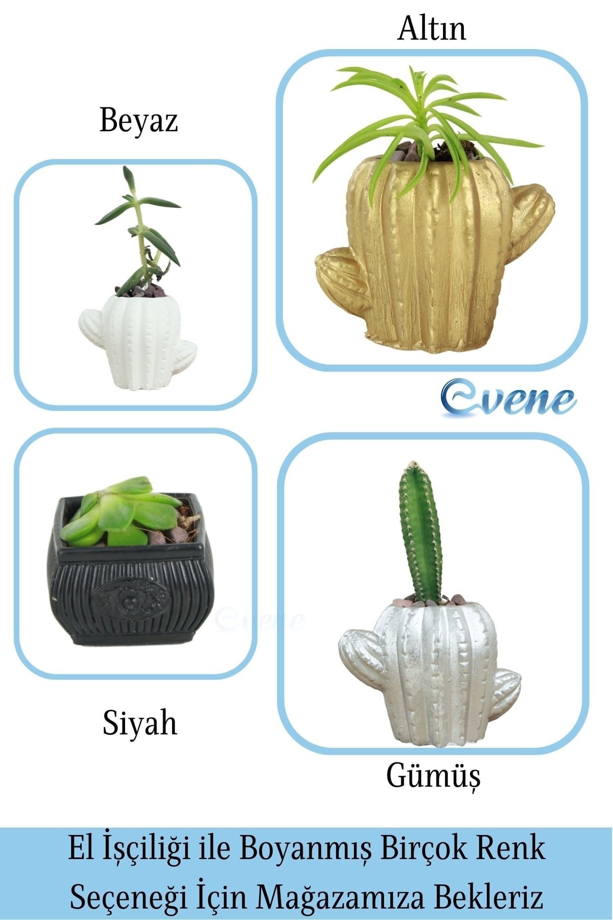 Gümüş thumbnail image