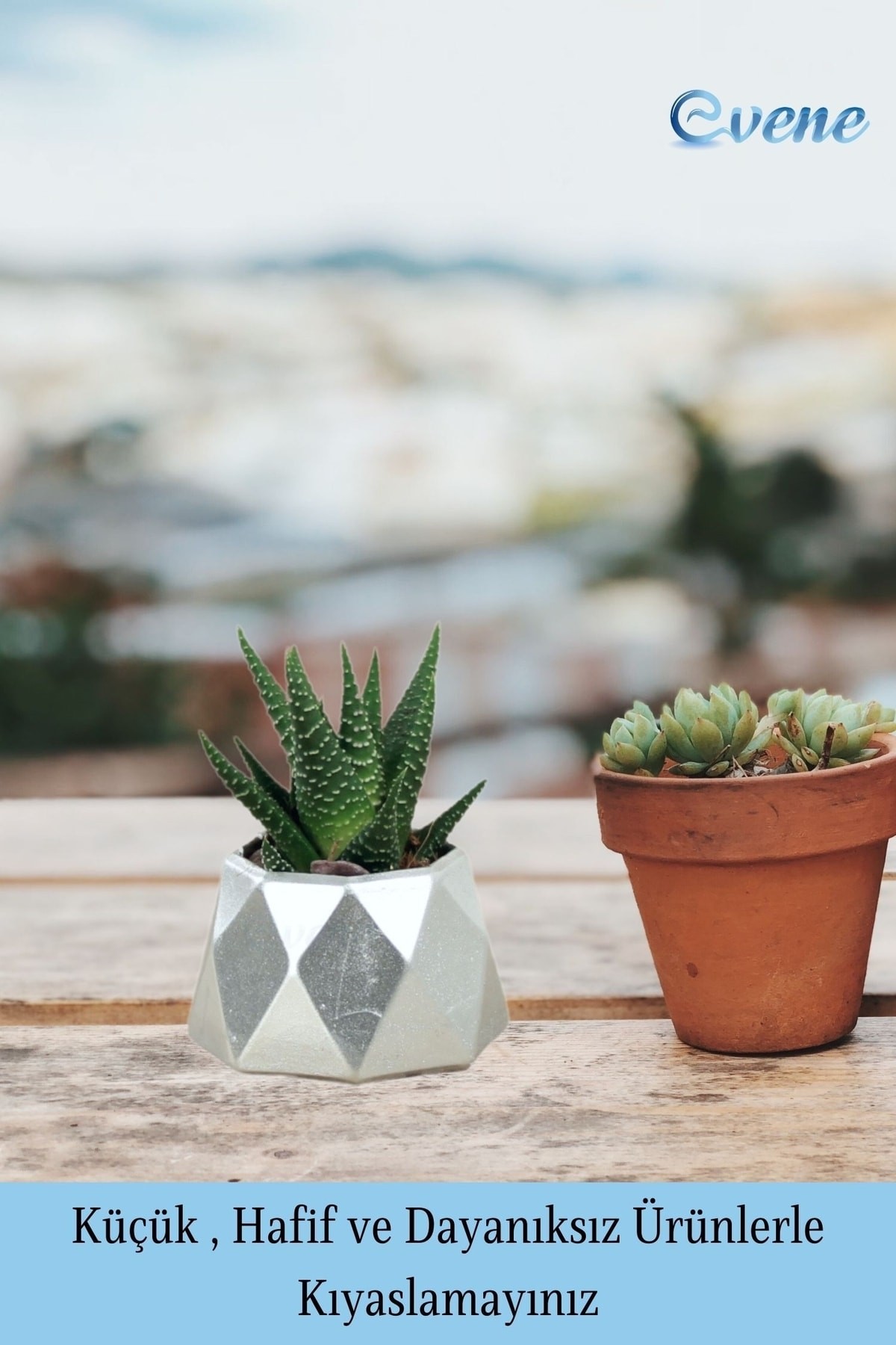 Mini Çiçek Saksı Küçük Sukulent Gümüş Kaktüs Saksısı 3'lü Set Mini Poly 1 Model
