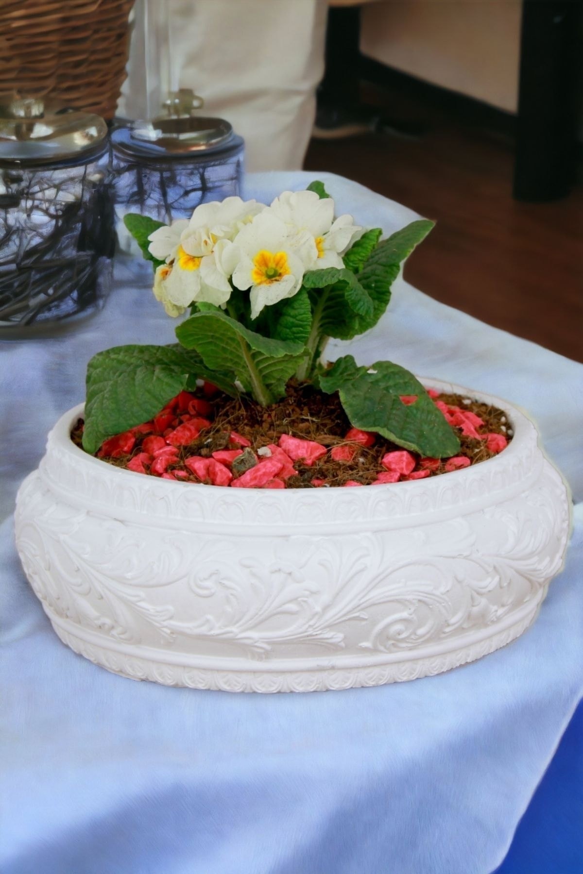 Beyaz thumbnail image