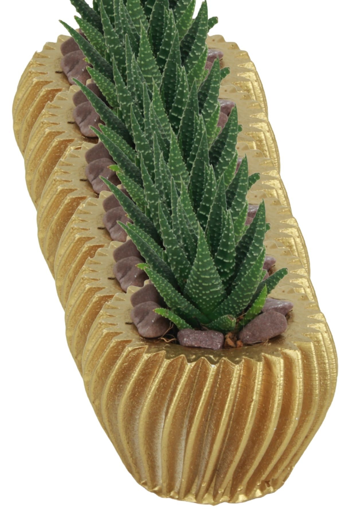 Altın thumbnail image