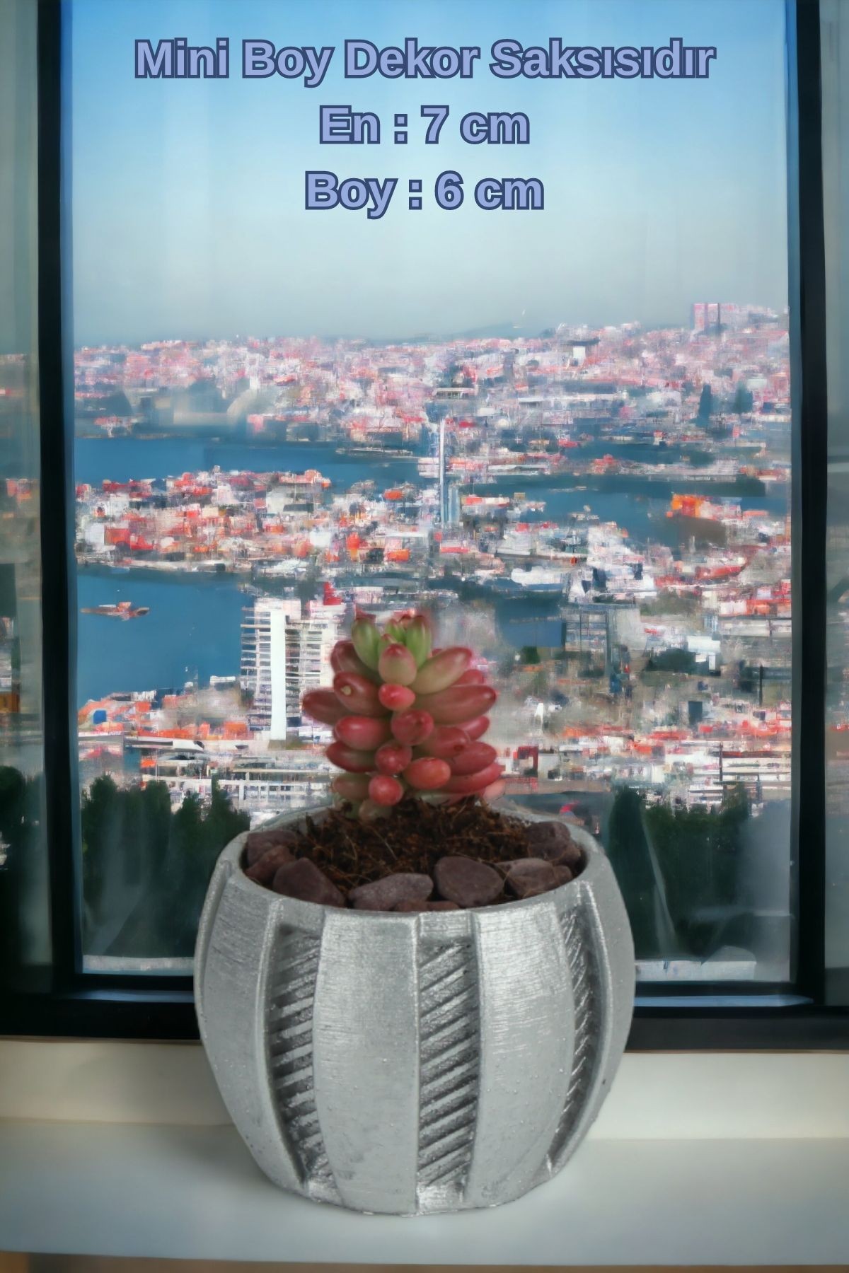 Gümüş thumbnail image