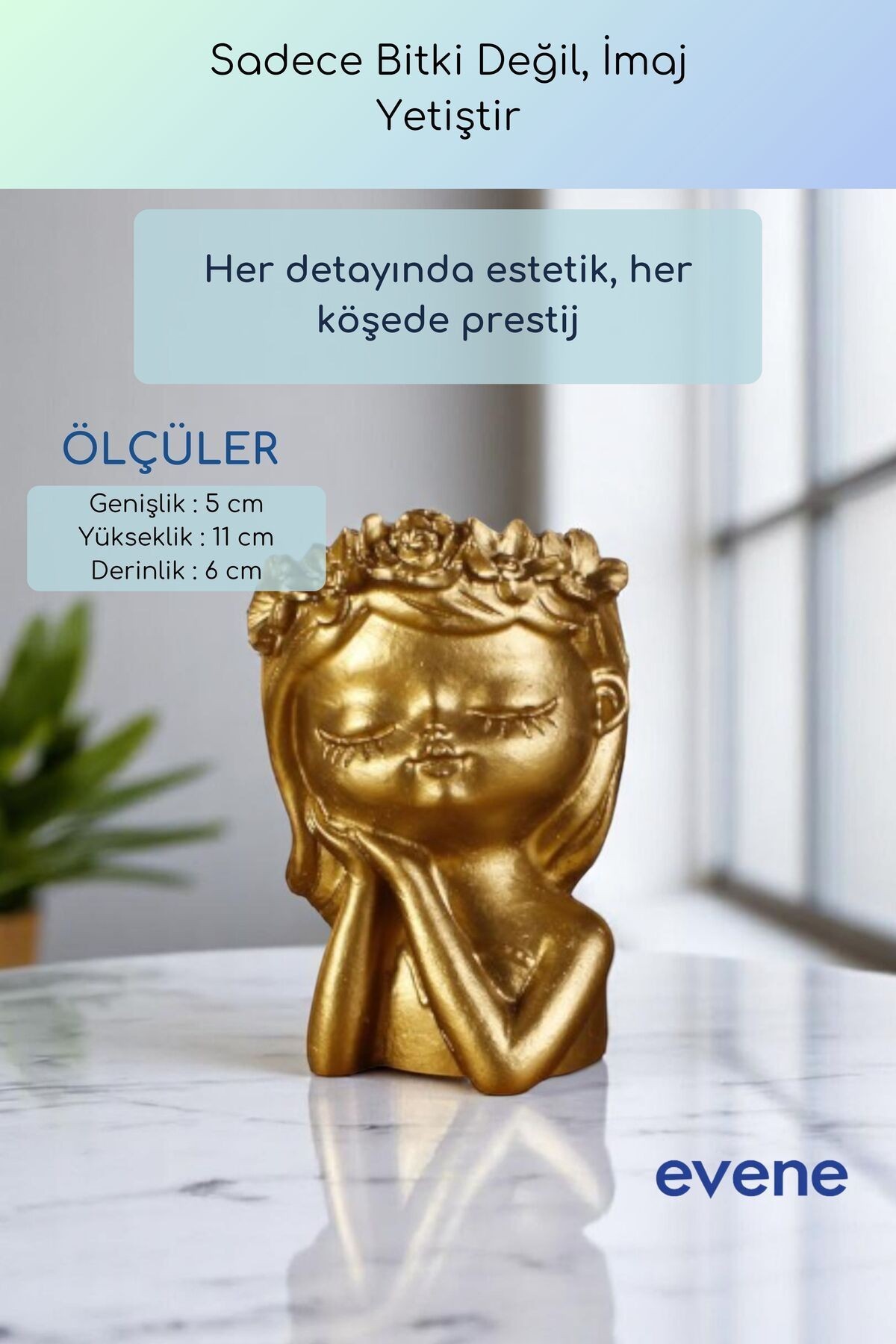 Saksı Dekoratif Saksı Kaktüs Saksısı Sukulent Saksısı Küçük Saksı Model 47 Altın Saksı