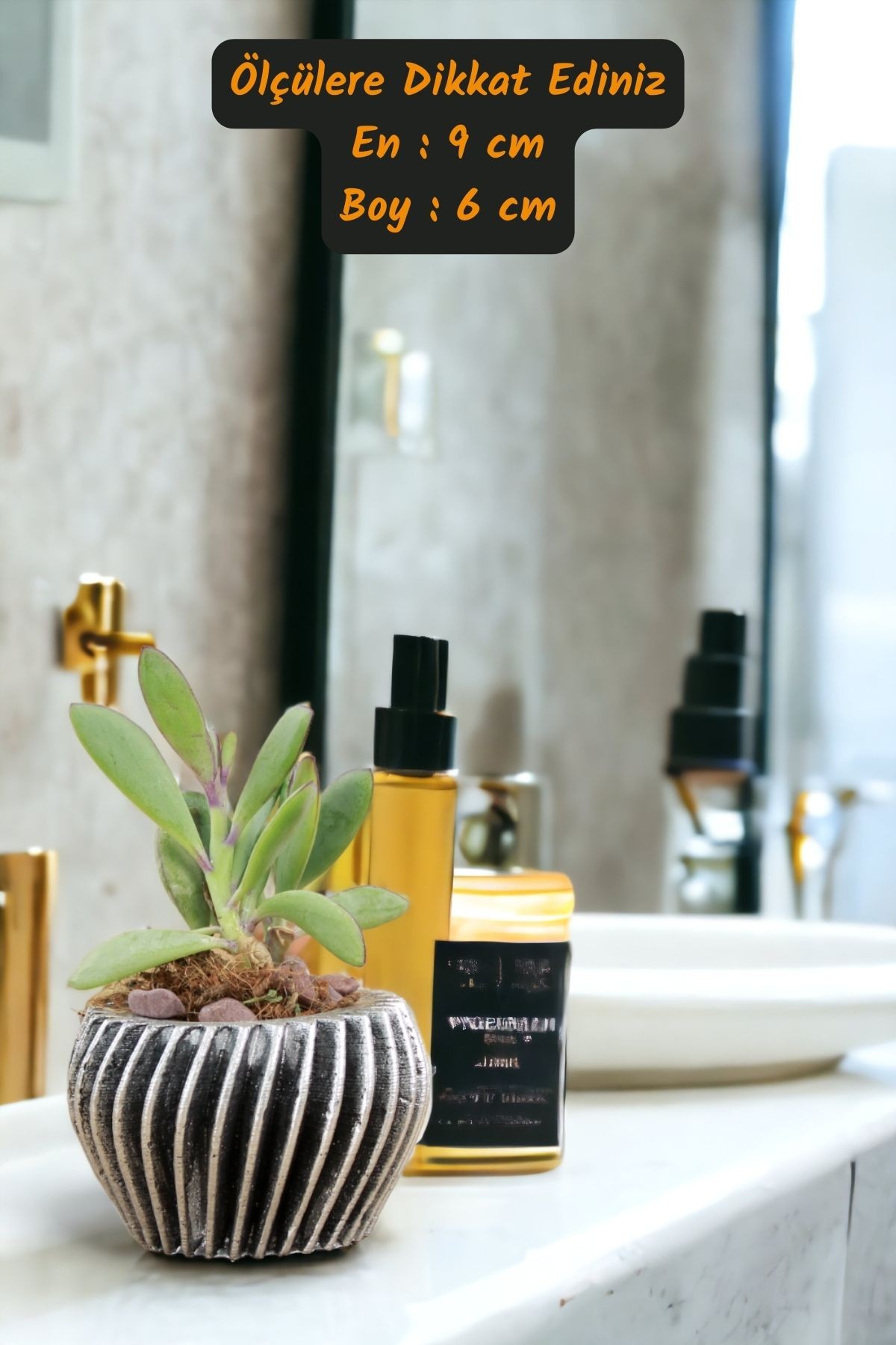 Premium Saksı Minyatür Dekoratif Kaktüs Sukulent Saksısı Model 13