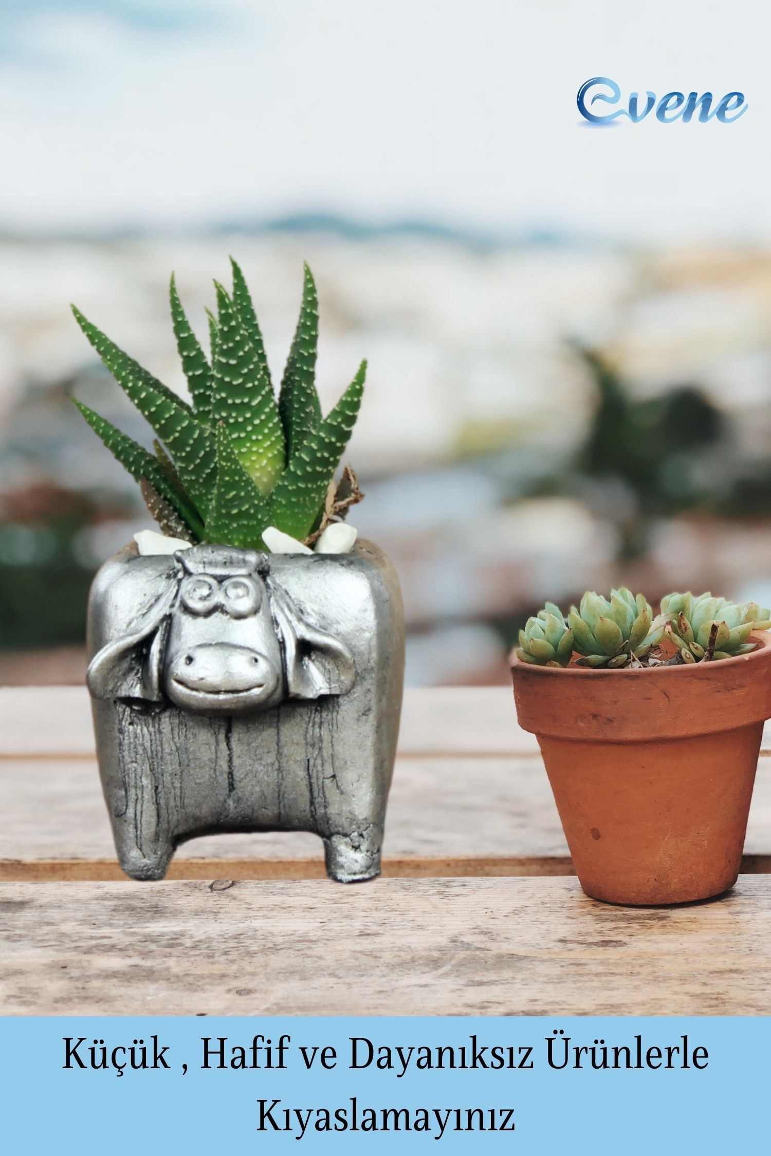 Mini Çiçek Saksısı Küçük Sukulent Gümüş Eskitme Kaktüs Saksı Mini İnek Model