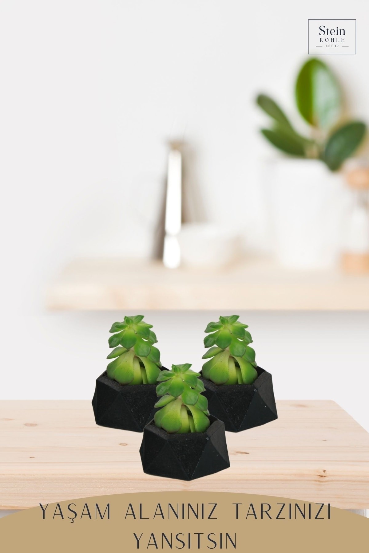 Dekoratif Saksı Minik Kaktüs Saksısı Beyaz Renk 1 Adet Mini Poly 2 Model