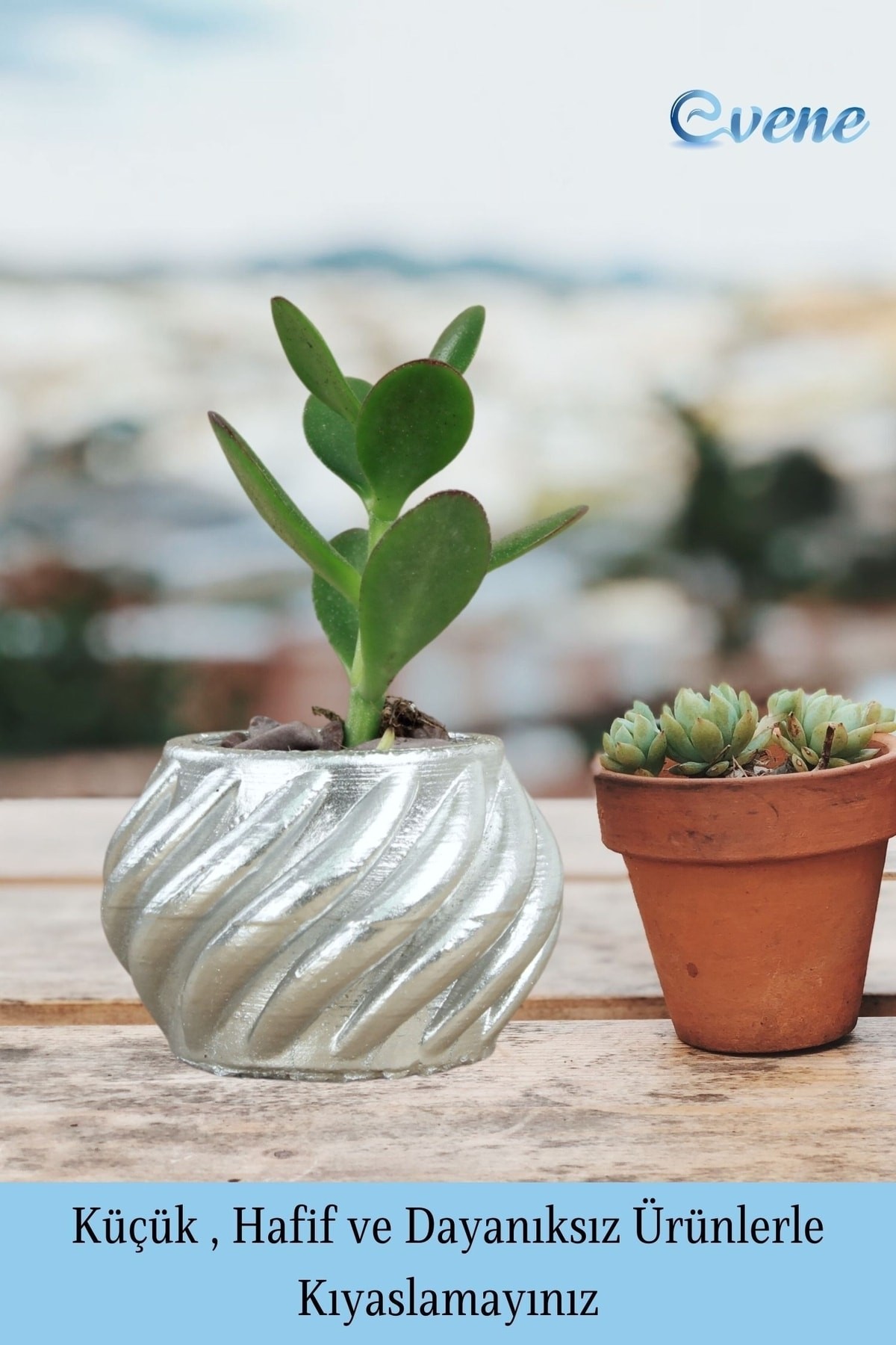 Mini Çiçek Saksı Küçük Sukulent Gümüş Kaktüs Saksısı 3'lü Set Kalın Çizgili Spiral Model