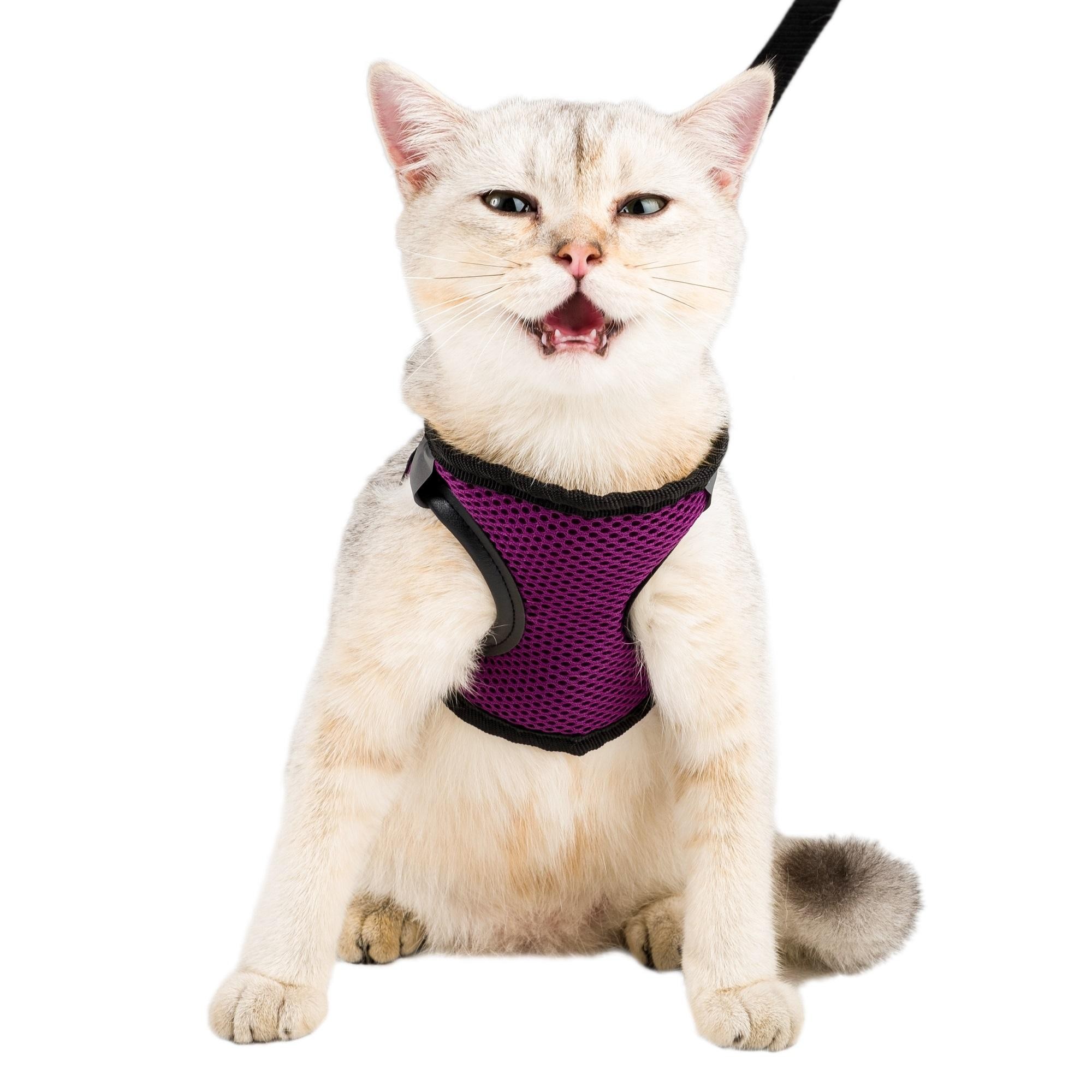 Kedi Köpek Tasması Large Beden Reflektörlü Fileli Hava Alan Kumaş Sevk Kayışlı Model Paris