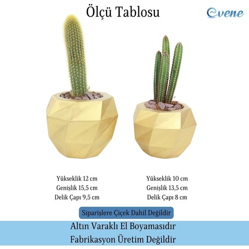 Evene Saksı Çiçek Kaktüs Saksısı Lüx 15 cm Boyalı Burgulu Desen Saksı 2li Set Çiçeklik