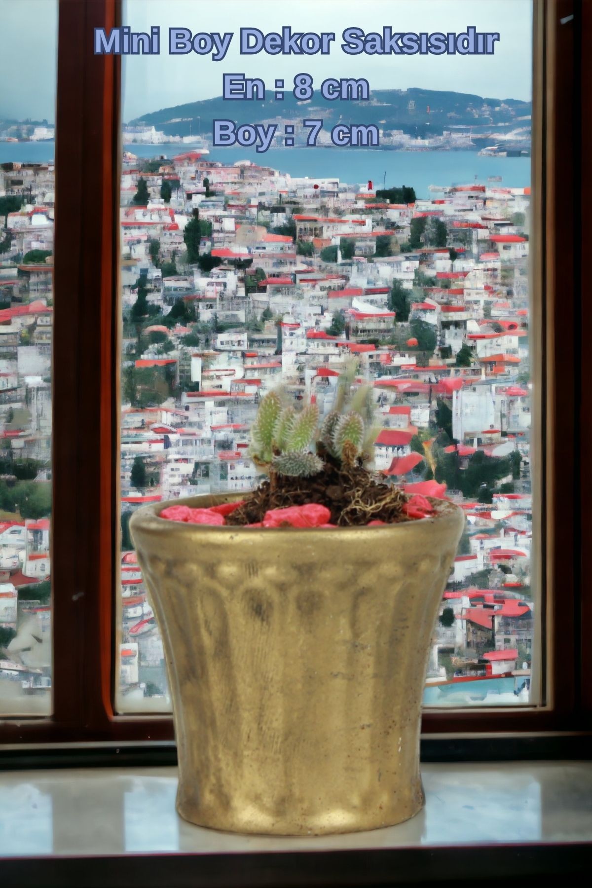 Siyah - Altın thumbnail image