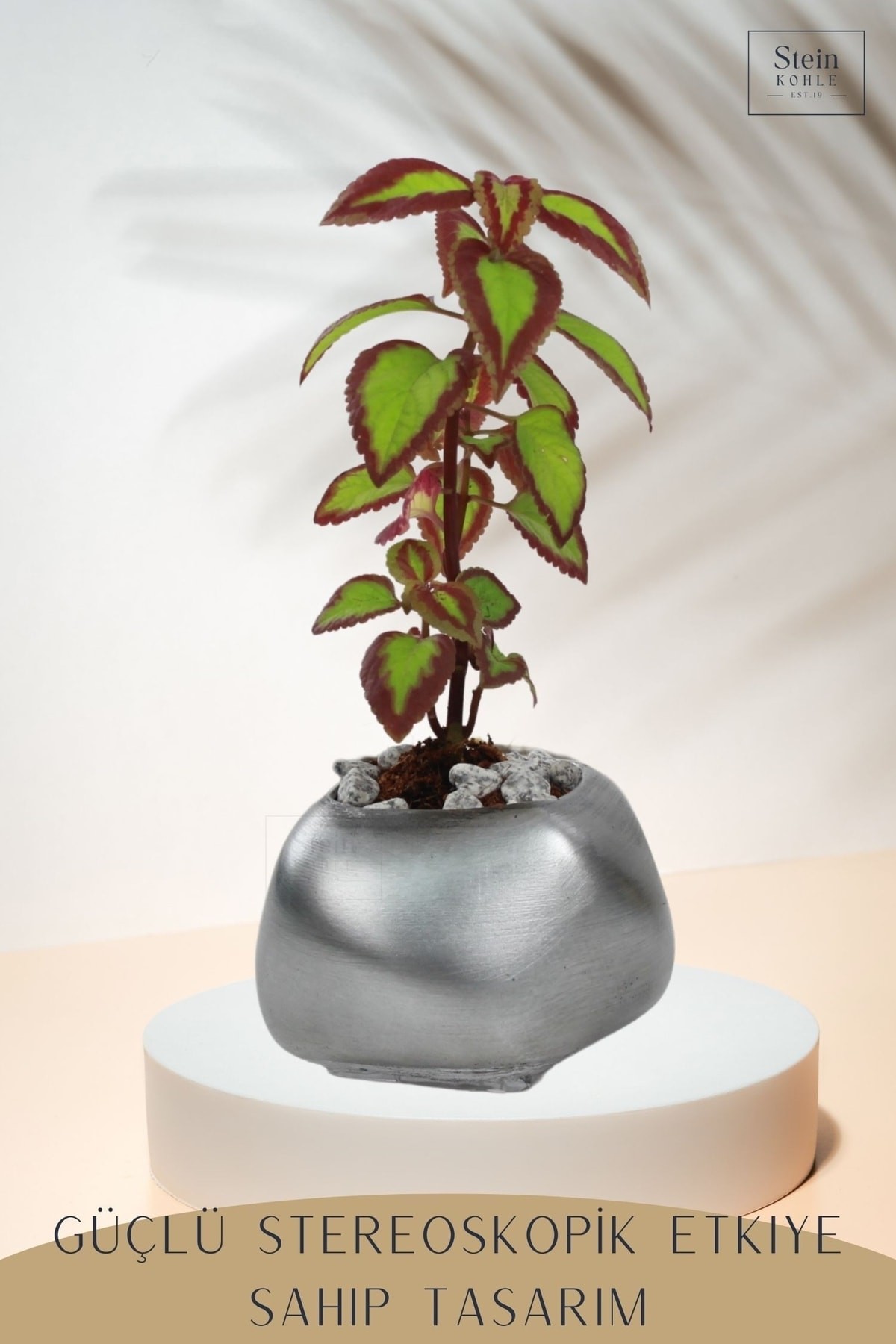 Çiçek Saksısı Büyük Boy 3 Adet Gümüş Renk Eskitme Uygulamalı Spiral Oval Model