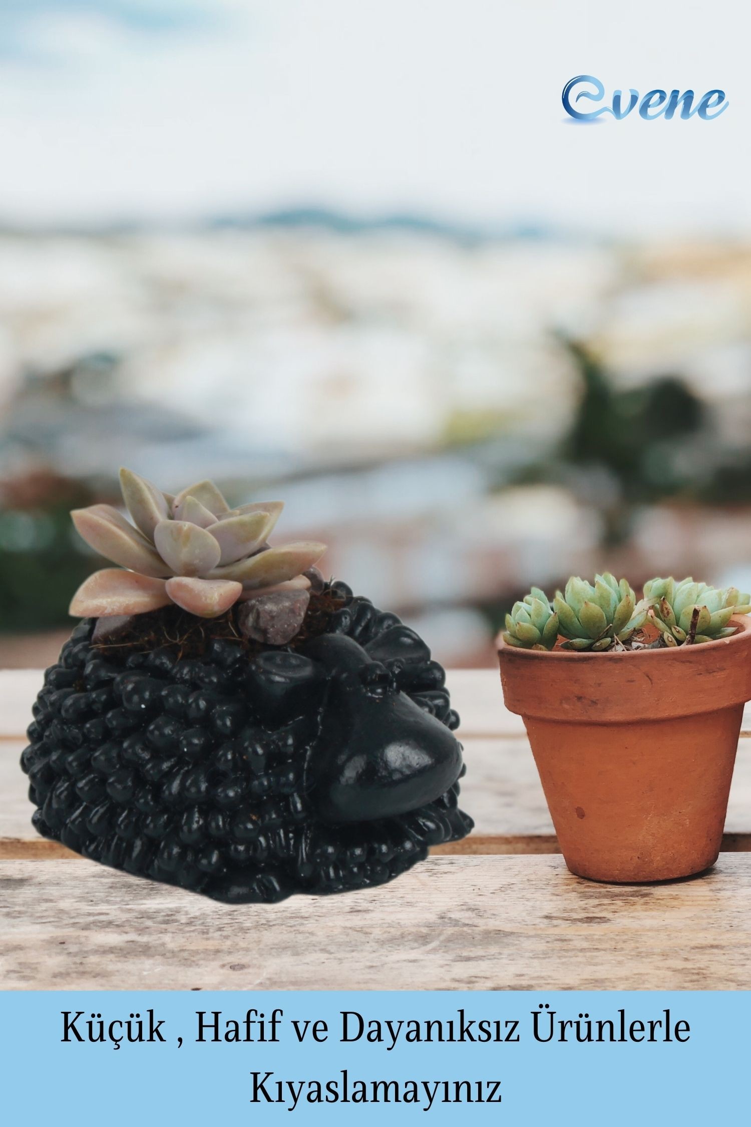Mini Çiçek Saksısı Küçük Sukulent Siyah Kaktüs Saksı Sevimli Koyun Model