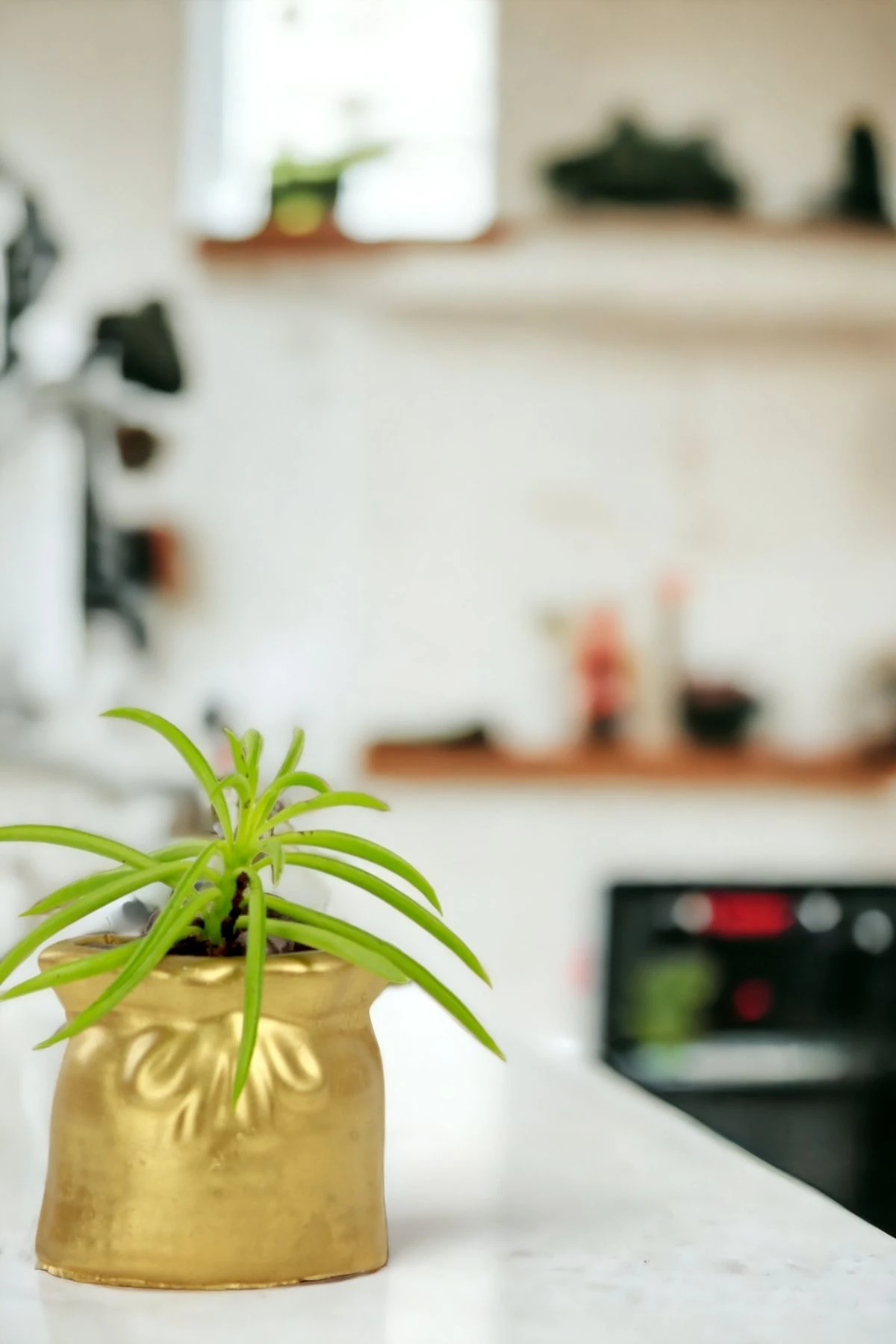 Premium Saksı Minyatür Dekoratif Kaktüs Sukulent Saksısı Model 14