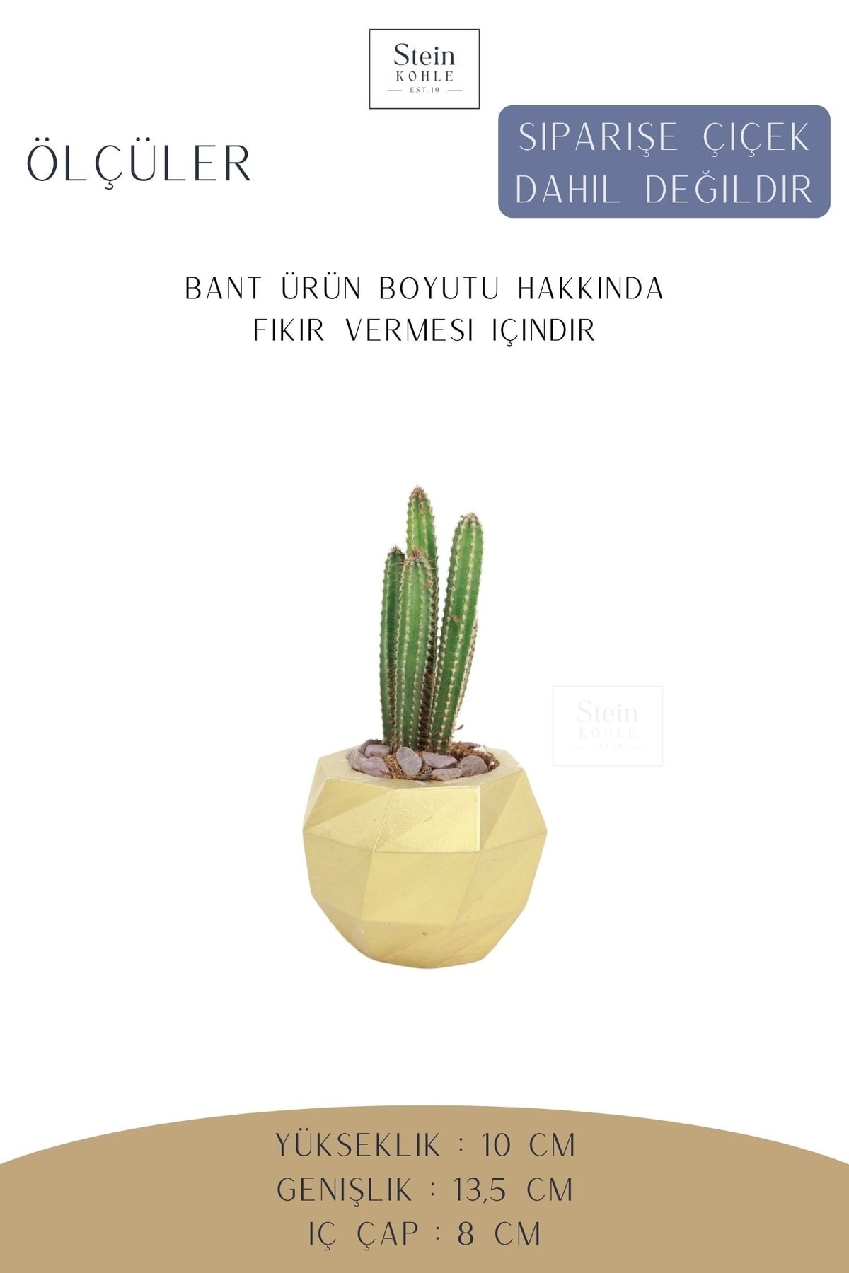 Çiçek Saksısı Dekoratif Kaktüs Saksı 1 Adet Altın Renk Uygulamalı Dönen Poly Model