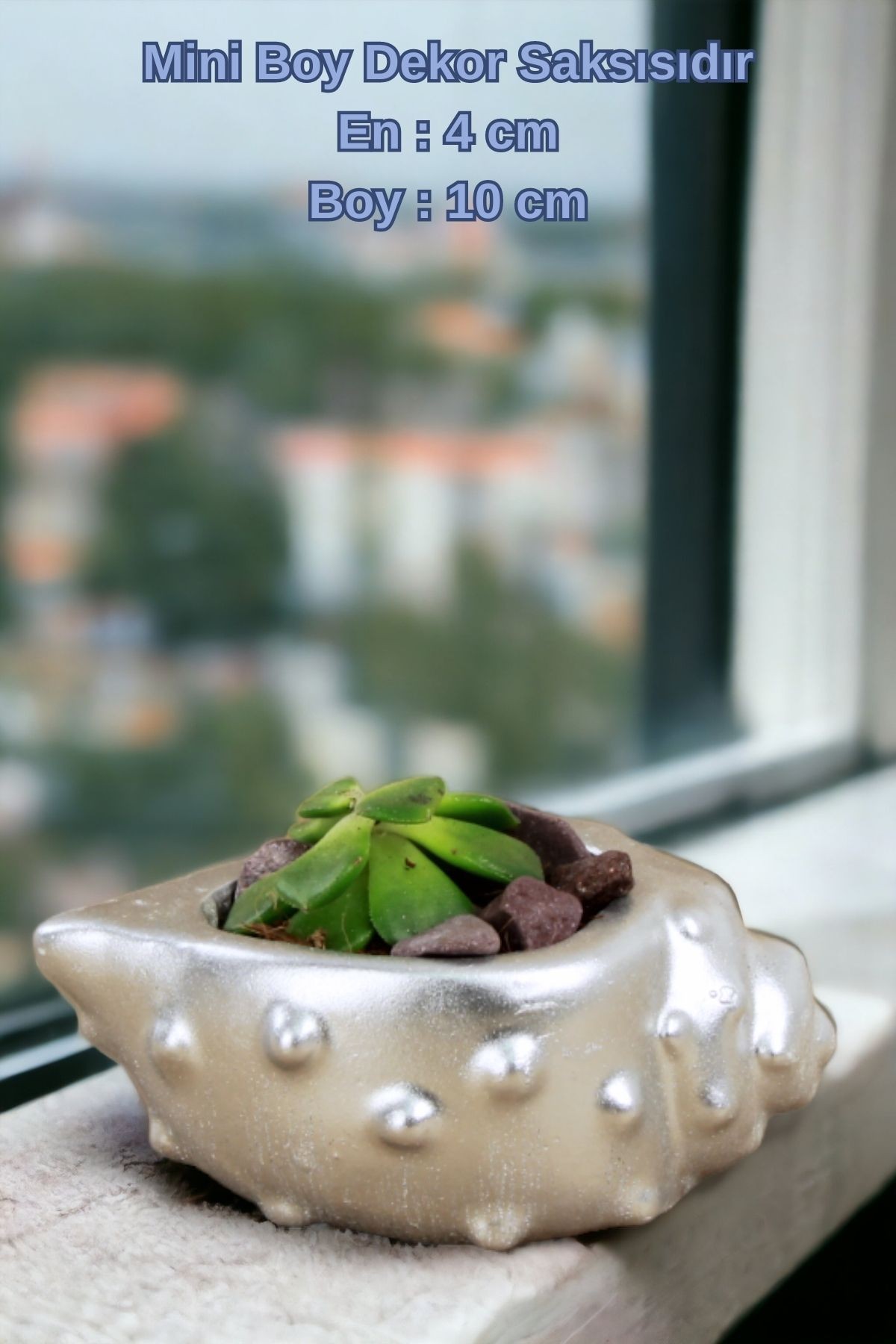 Gümüş thumbnail image