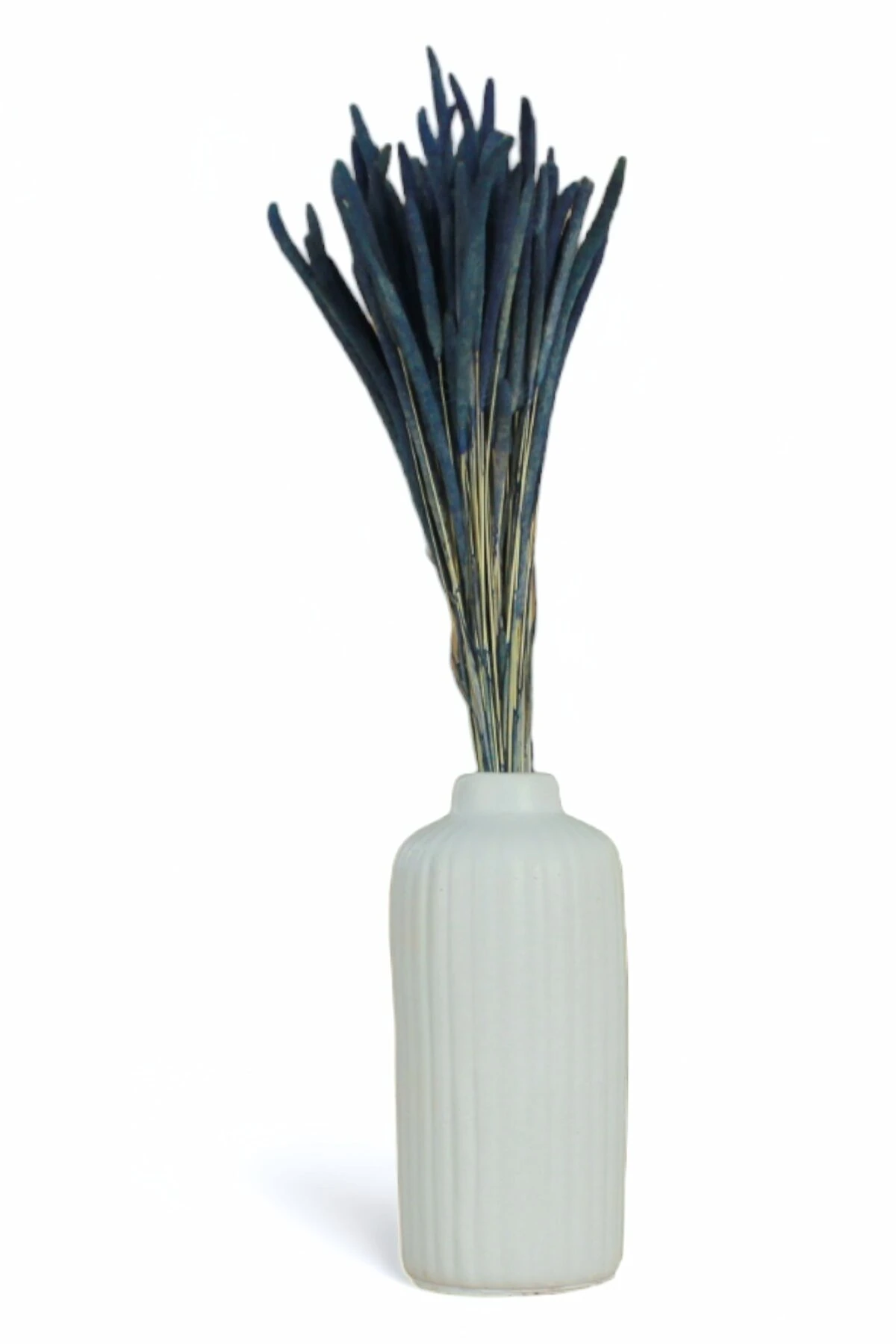 Beyaz thumbnail image