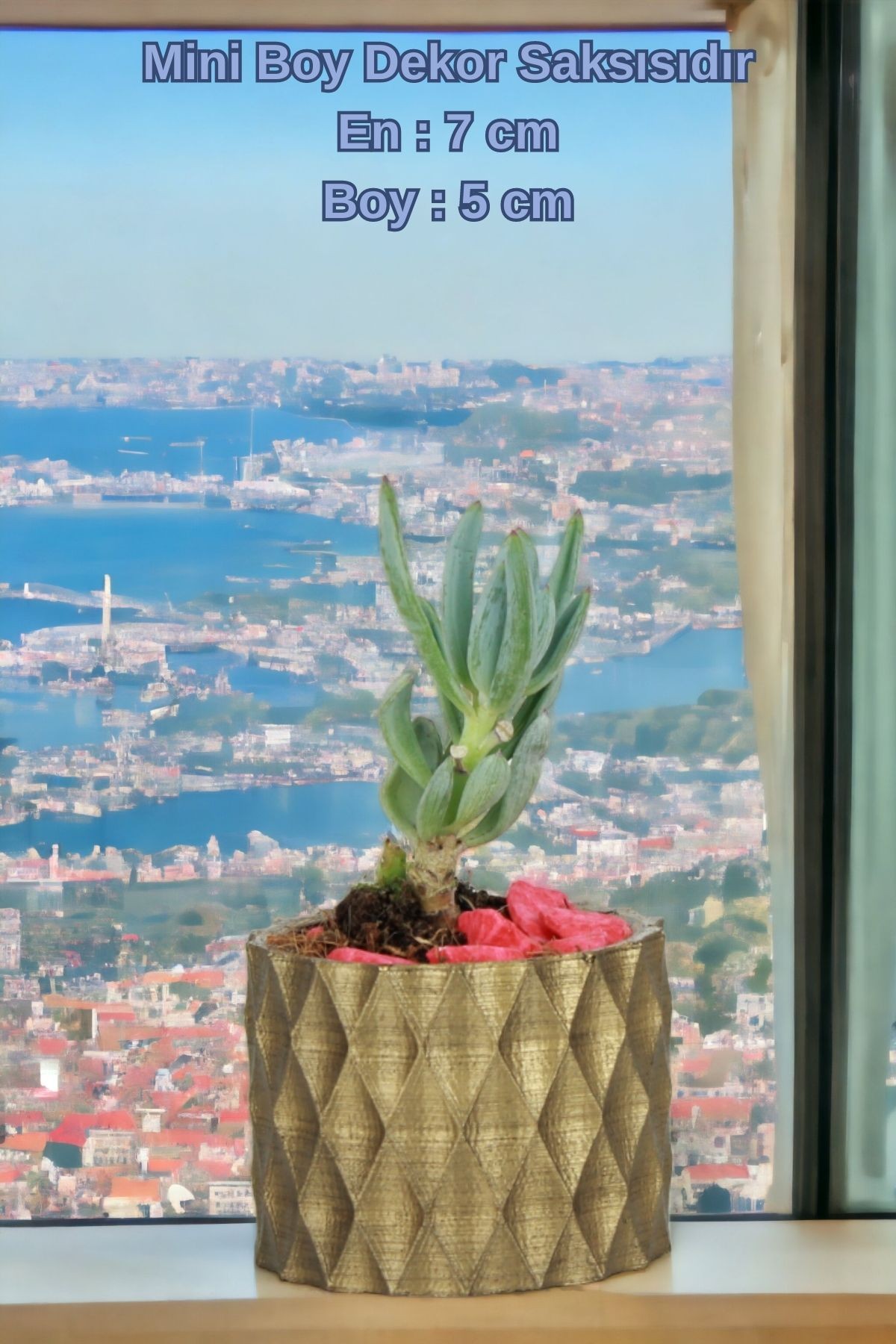 Siyah - Altın thumbnail image