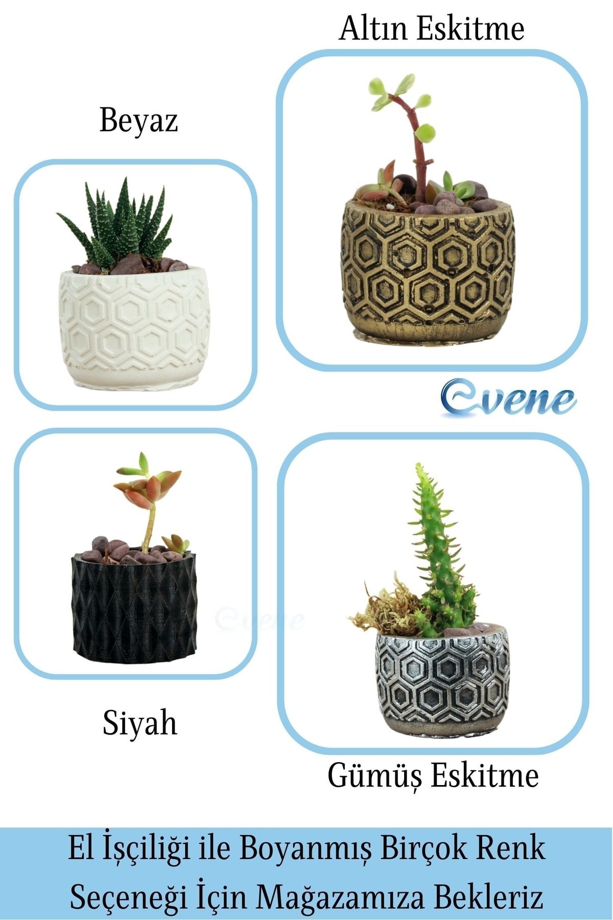 Mini Çiçek Saksı Küçük Sukulent Gümüş Kaktüs Saksısı Altıgen Desenli Model