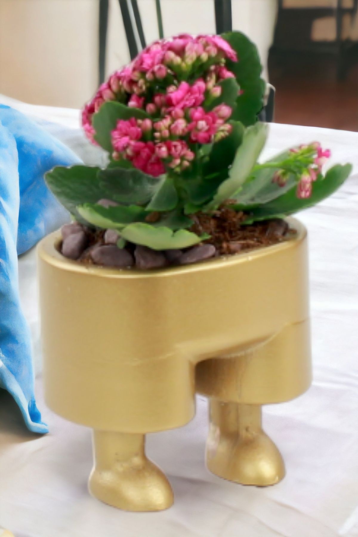 Altın thumbnail image
