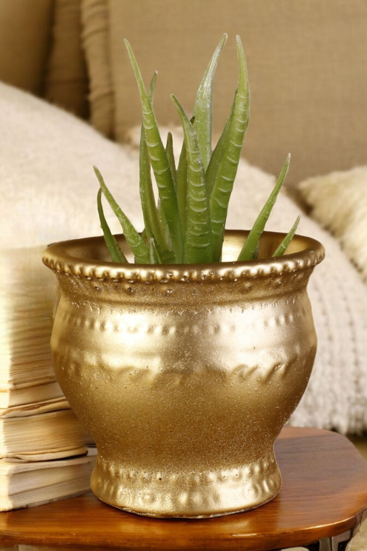 Altın thumbnail image