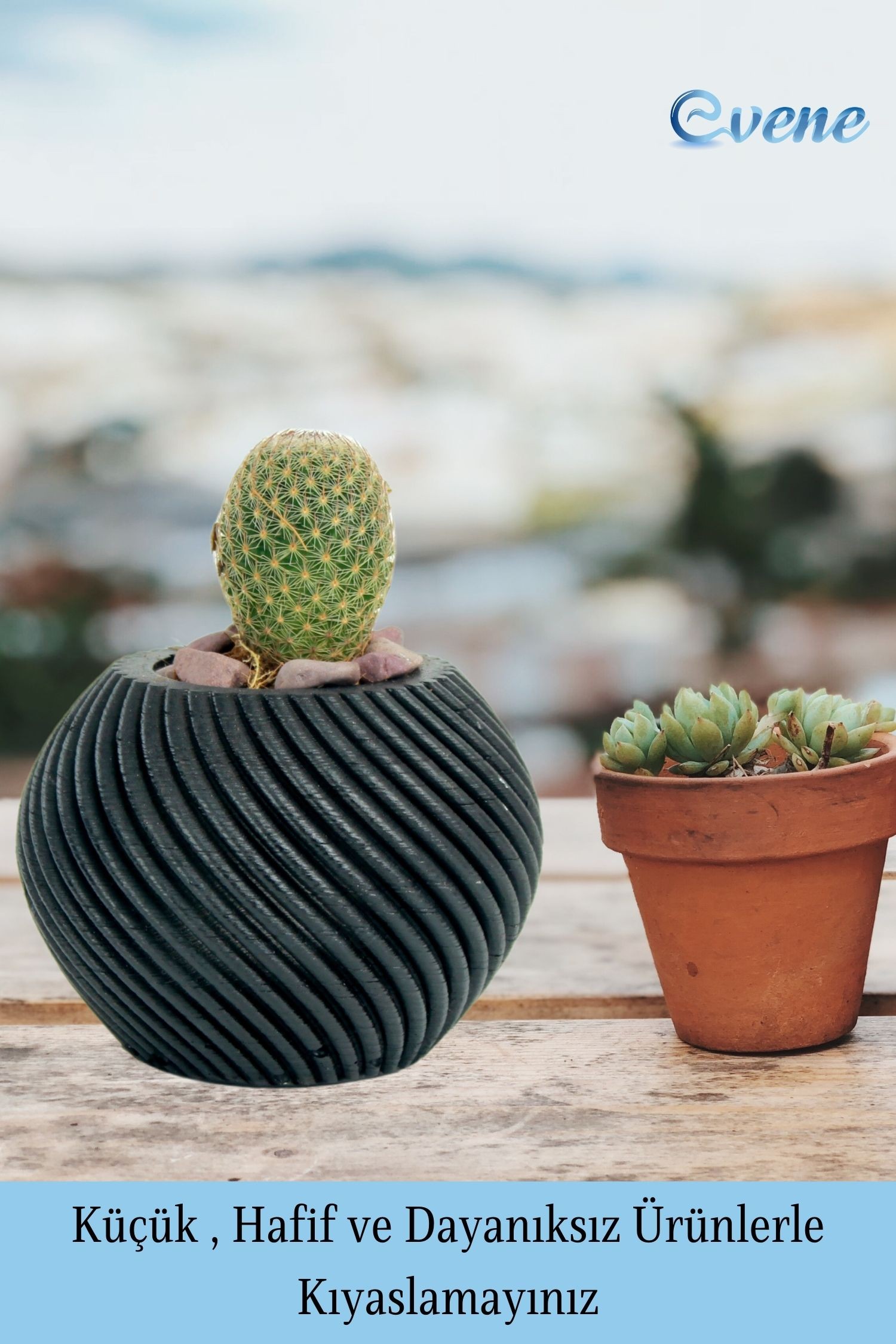 Mini Çiçek Saksısı Küçük Sukulent Siyah Kaktüs Saksı İnce Çizgili Spiral Model