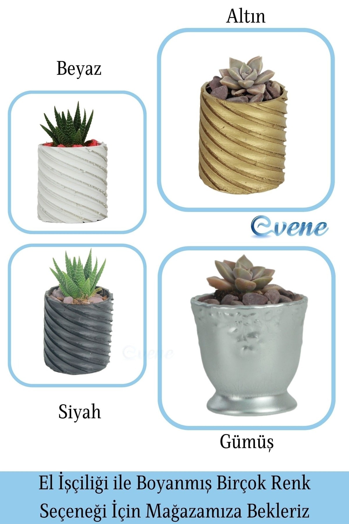 Kaktüs Saksısı Dekoratif Saksı Model 6