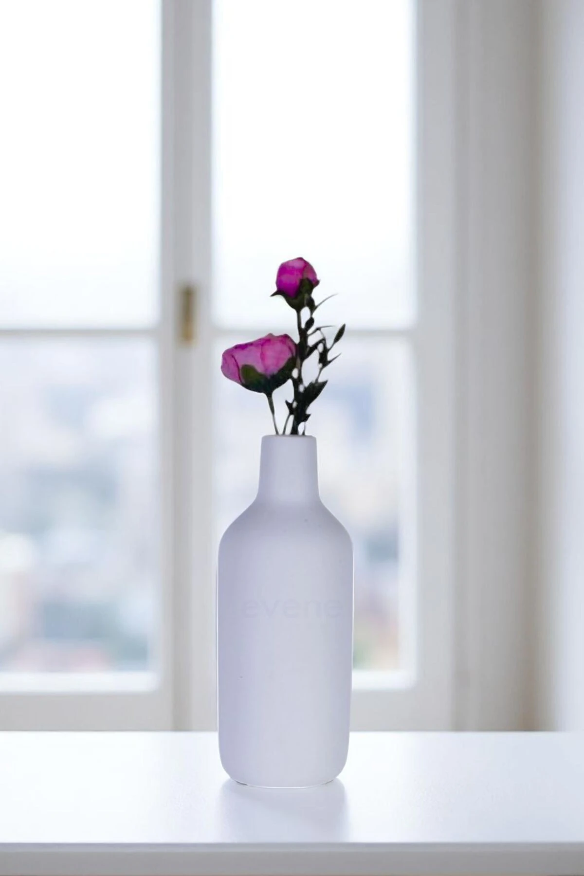 Beyaz thumbnail image