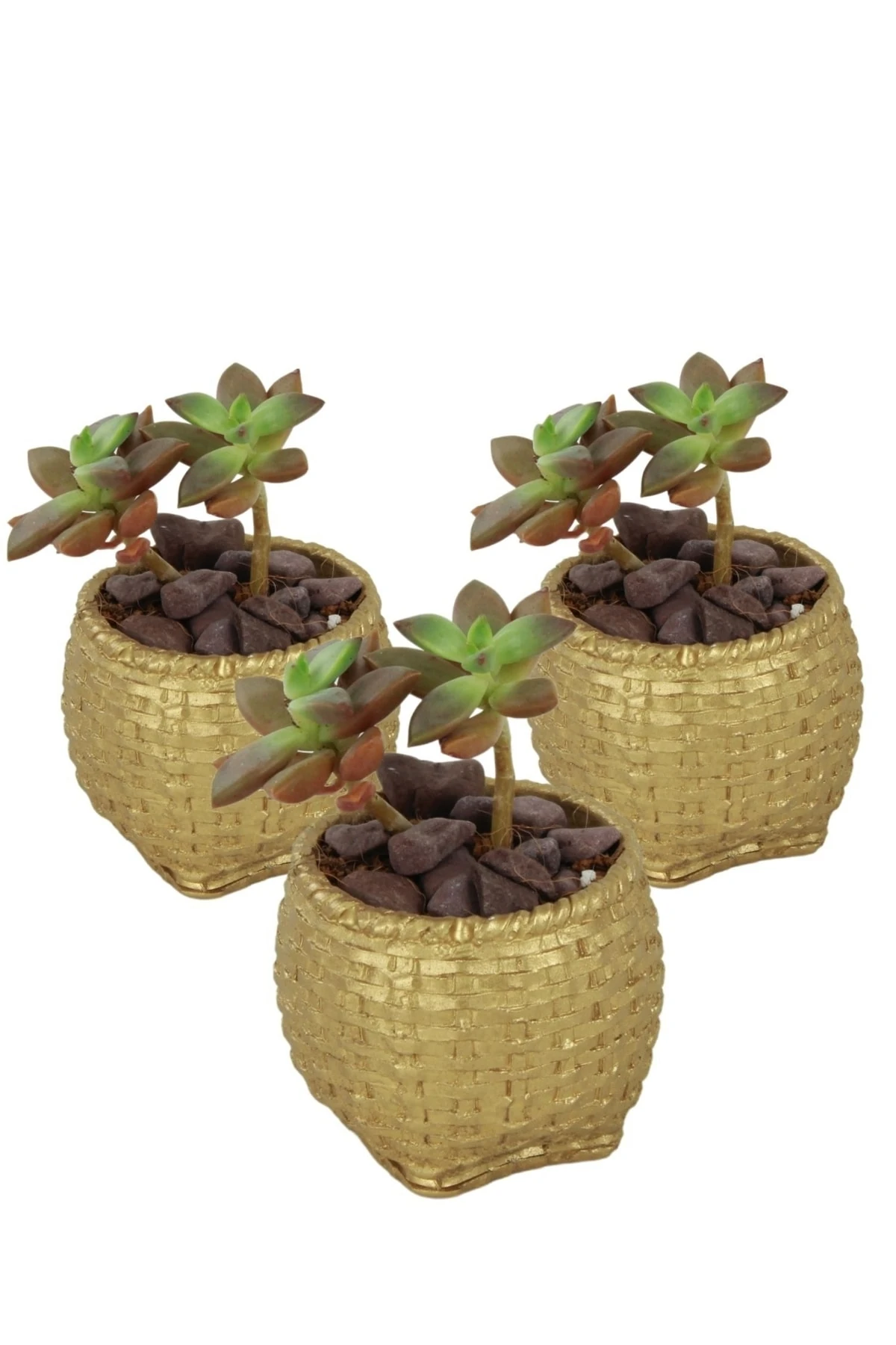 Dekoratif Saksı Minik Kaktüs Saksısı Altın Renk 3 Adet Saksı Seti Sepet Örgü Model