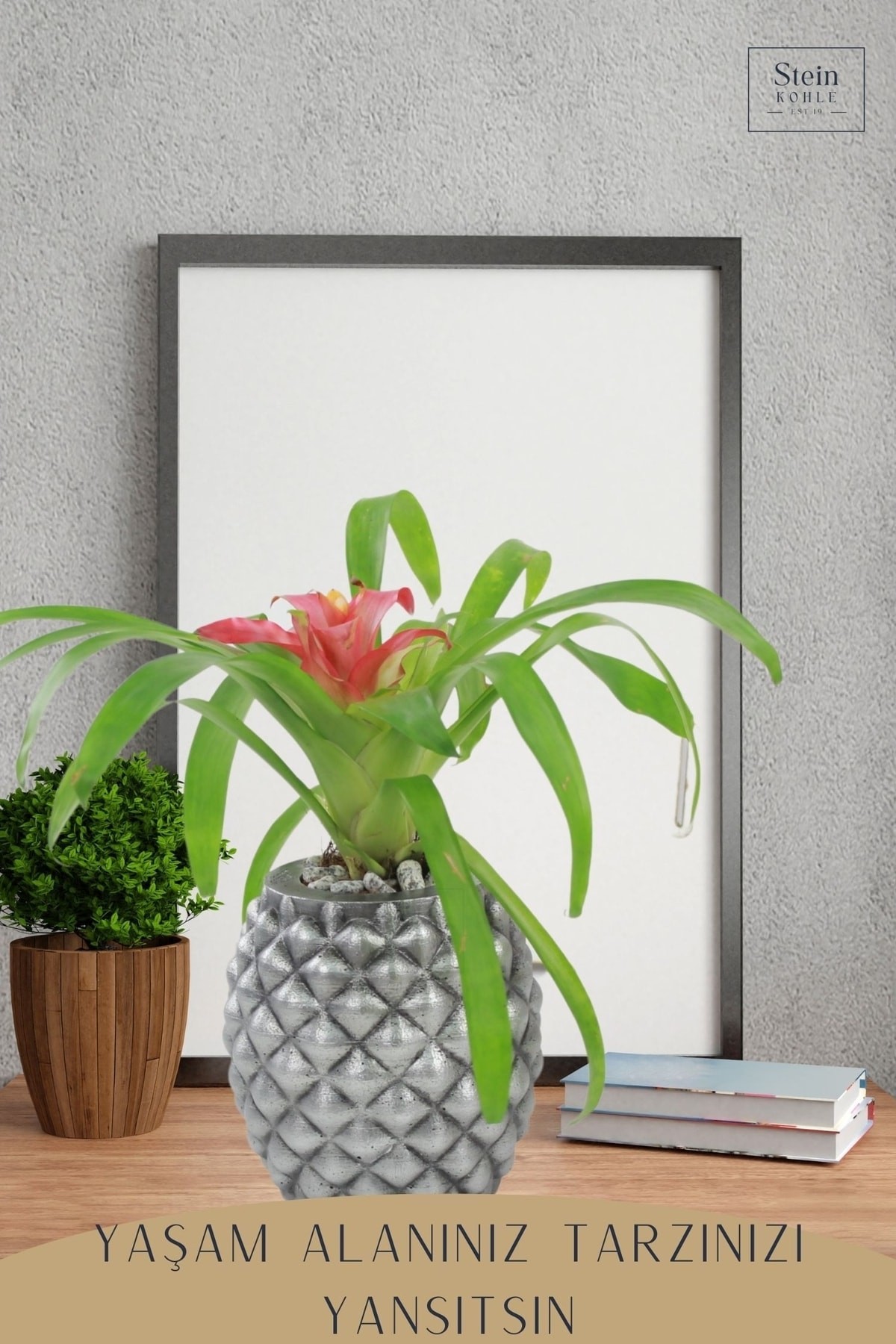 Çiçek Saksısı Büyük Boy 2 Adet Gümüş Renk Eskitme Uygulamalı Ananas Model