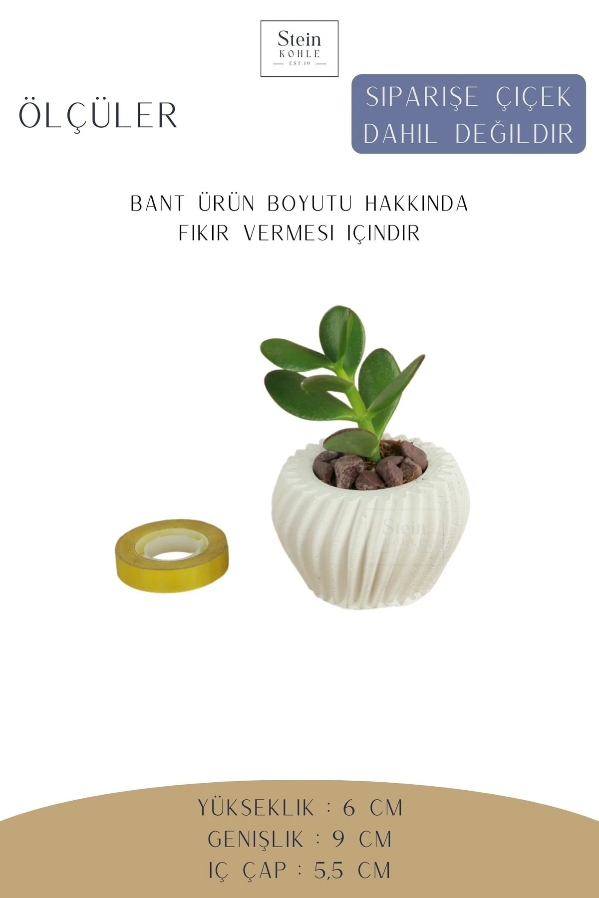 Dekoratif Saksı Minik Kaktüs Saksısı Beyaz Renk 1 Adet Derin Çizgili Spiral Model