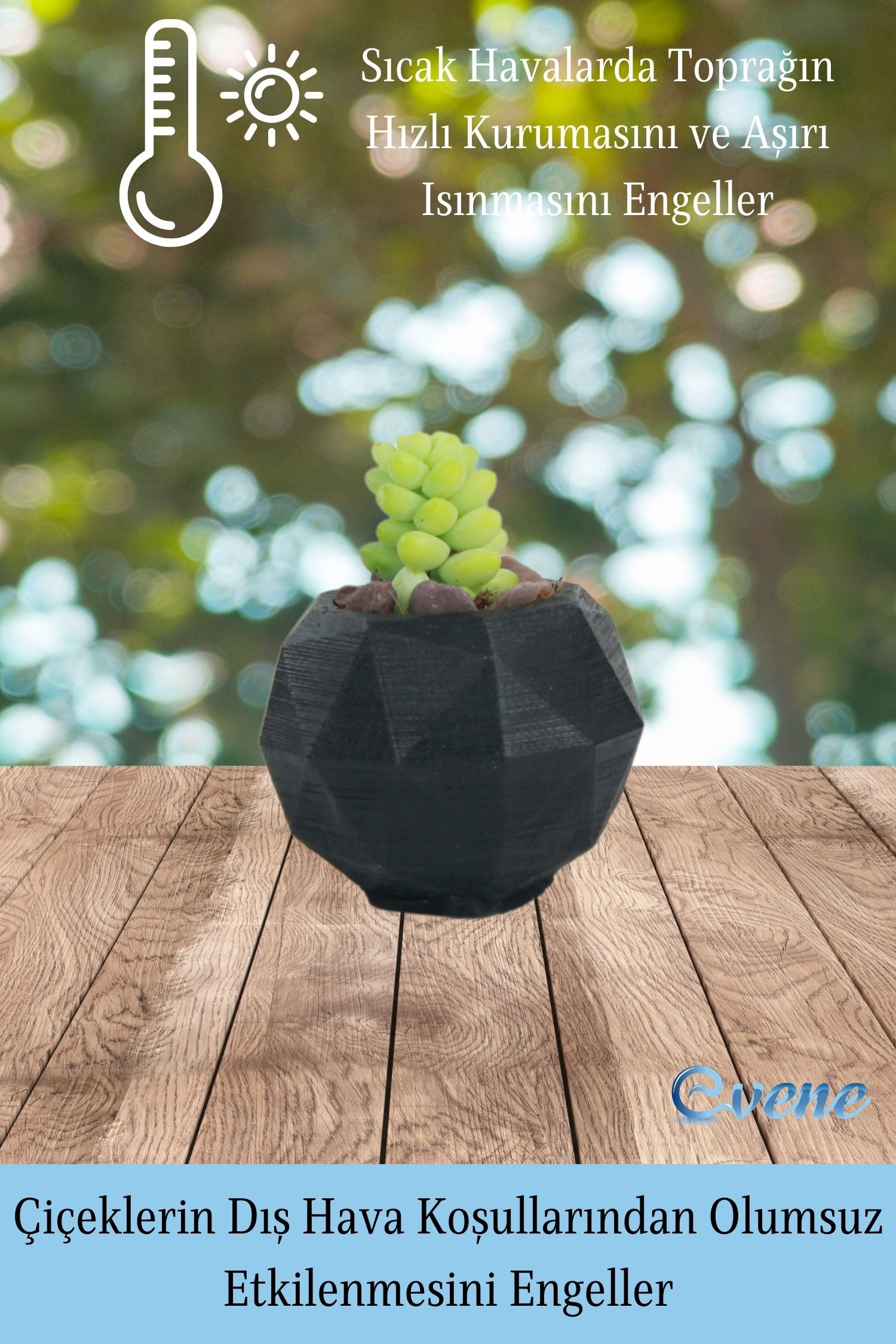 Mini Çiçek Saksısı Küçük Sukulent Siyah Kaktüs Saksı Poly Silindir Model