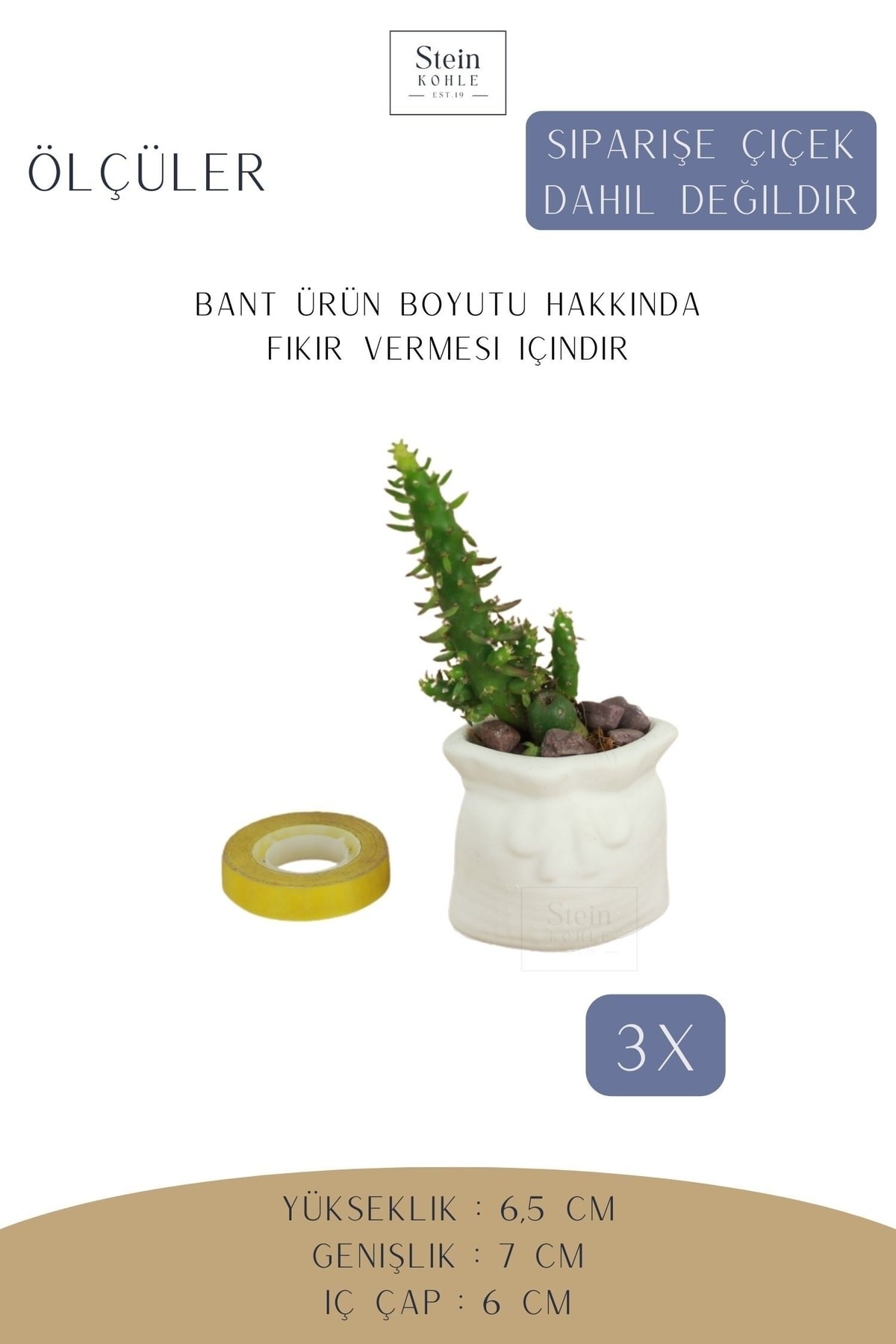 Dekoratif Saksı Minik Kaktüs Saksısı Beyaz Renk 3 Adet Saksı Seti Kese Model