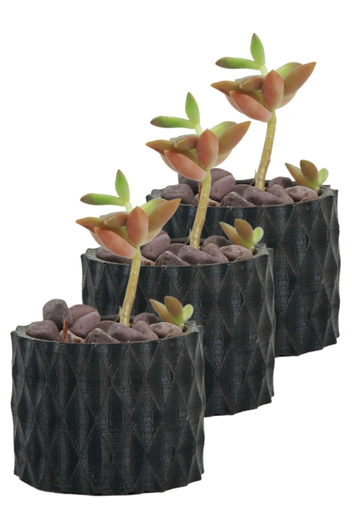 Mini Çiçek Saksı Küçük Sukulent Siyah Kaktüs Saksısı 3'lü Set Baklava Çizgili Model