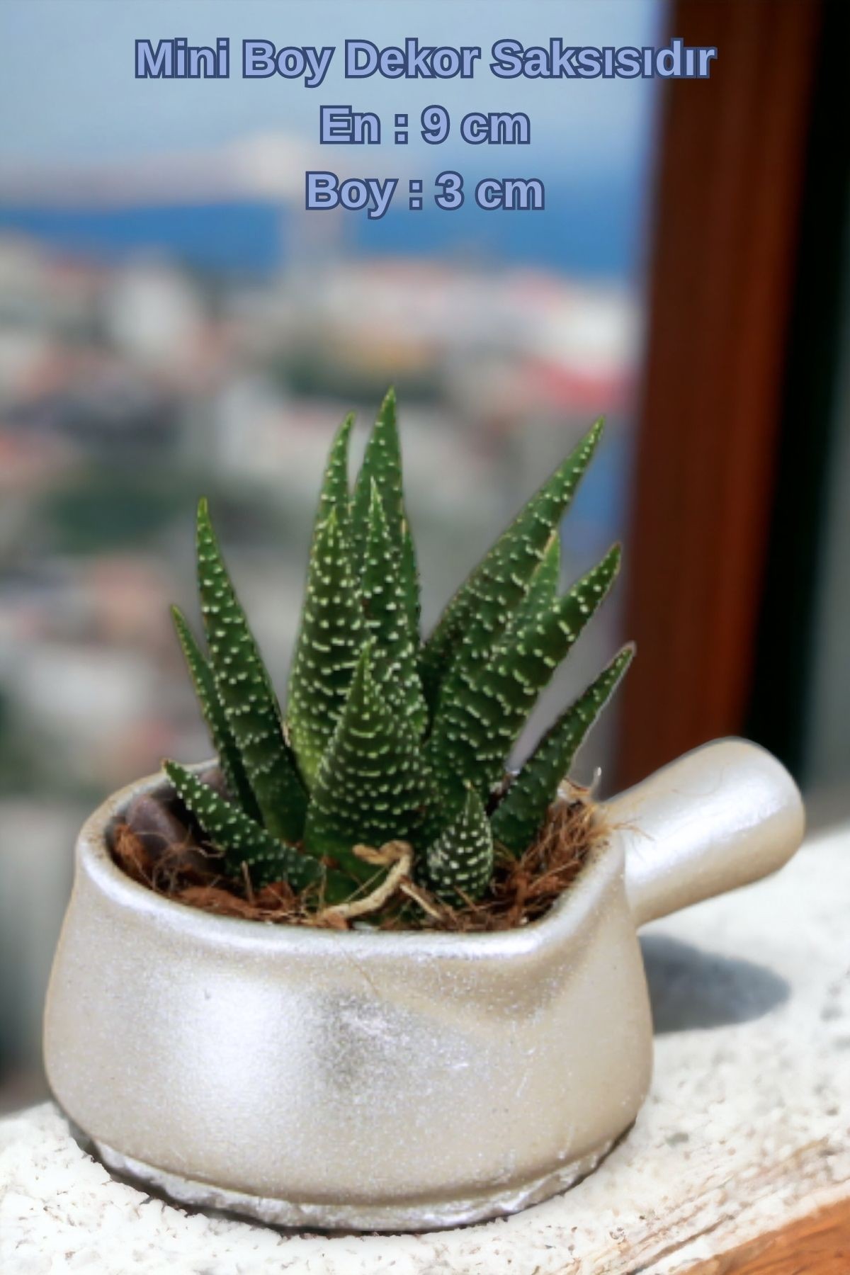 Gümüş thumbnail image