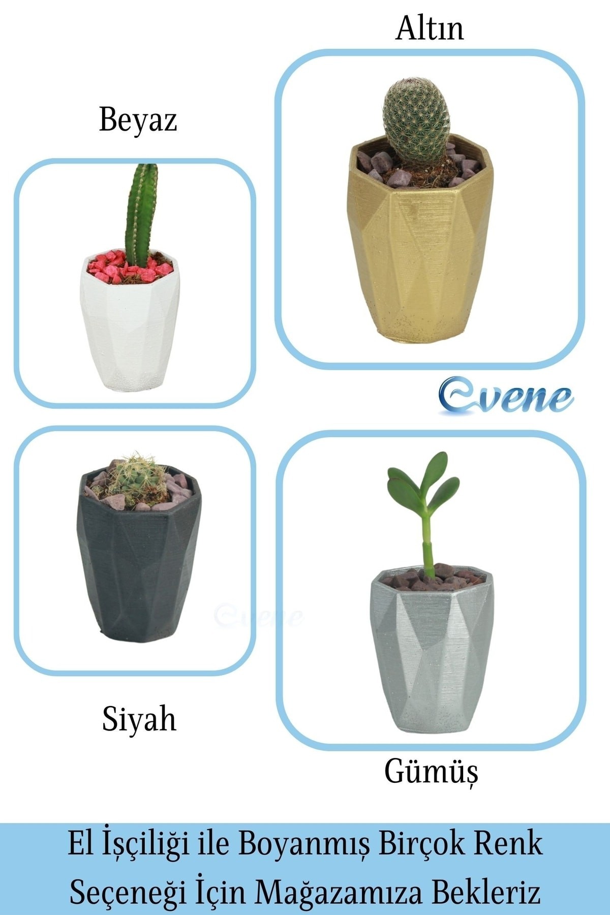 Saksı Kaktüs Saksısı Dekoratif Saksı Model 12