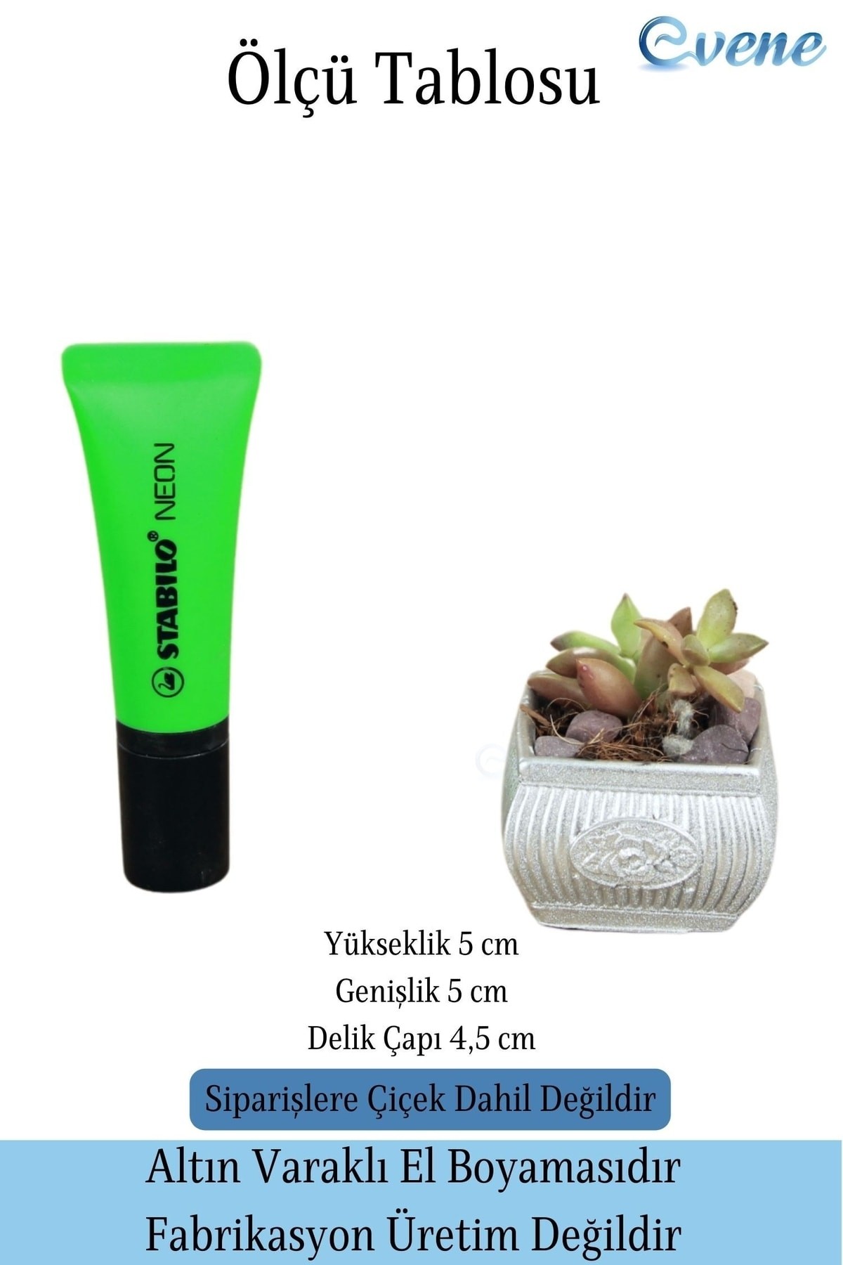 Mini Çiçek Saksı Küçük Sukulent Gümüş Kaktüs Saksısı Mini Çiçekli Model