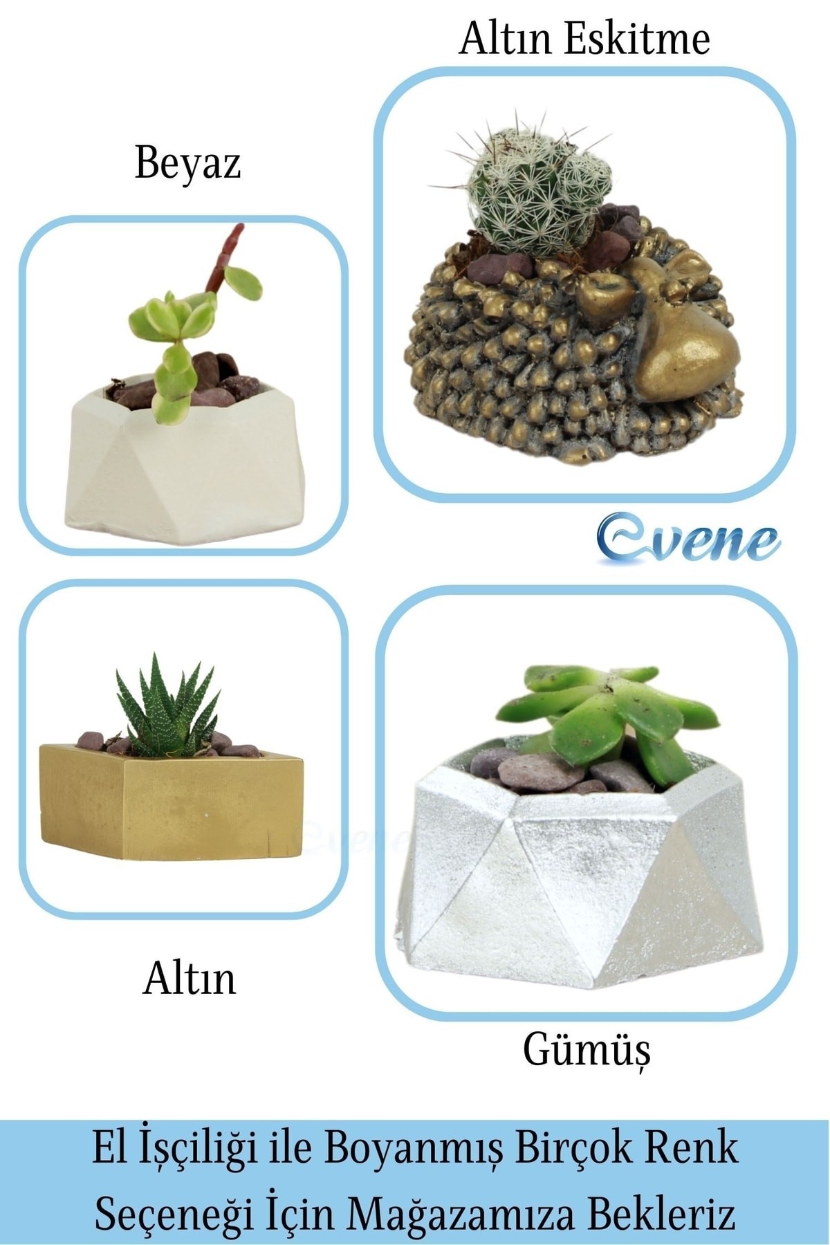 Mini Çiçek Saksı Küçük Sukulent Beyaz Kaktüs Saksısı 3'lü Set Mini Poly 2 Model