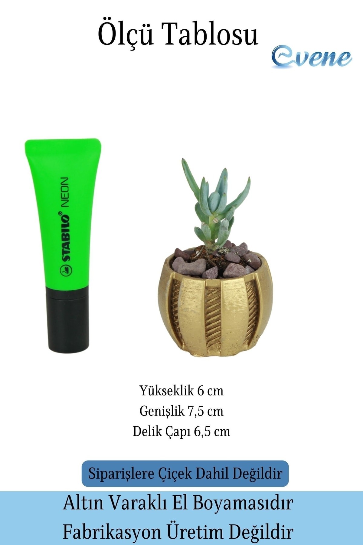 Altın thumbnail image