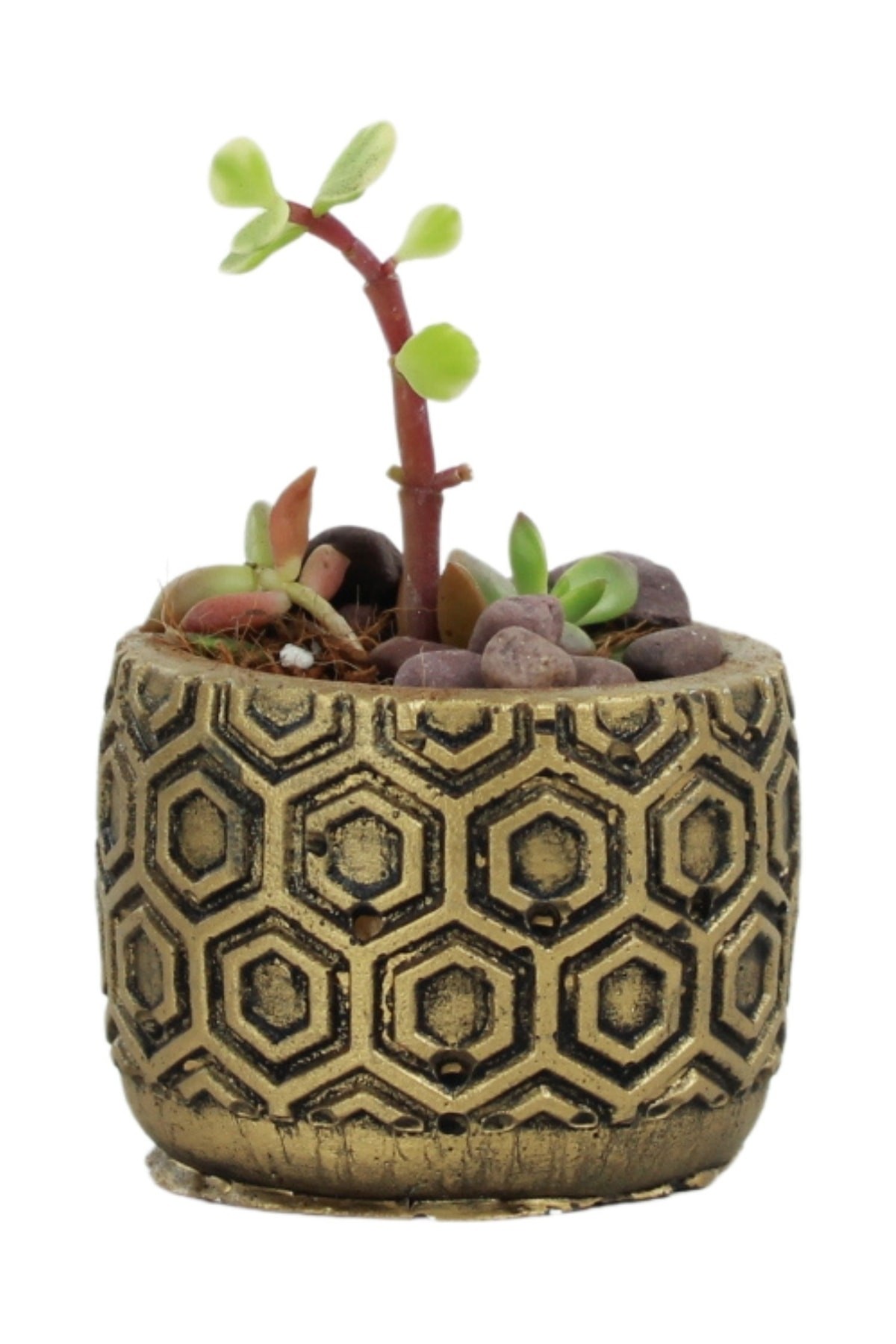 Mini Çiçek Saksı Küçük Sukulent Gümüş Kaktüs Saksısı Altıgen Desenli Model