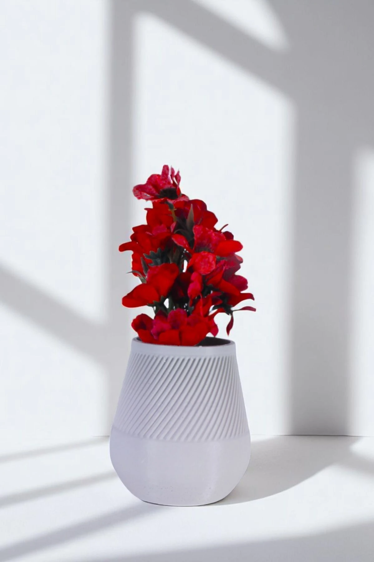 Beyaz thumbnail image