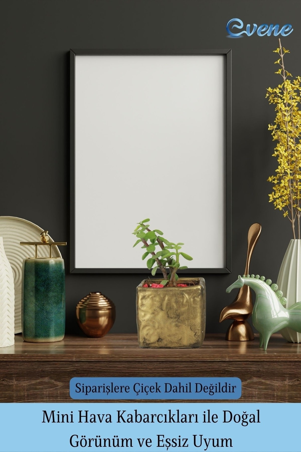 Kaktüs Saksısı Dekoratif Saksı Model 16