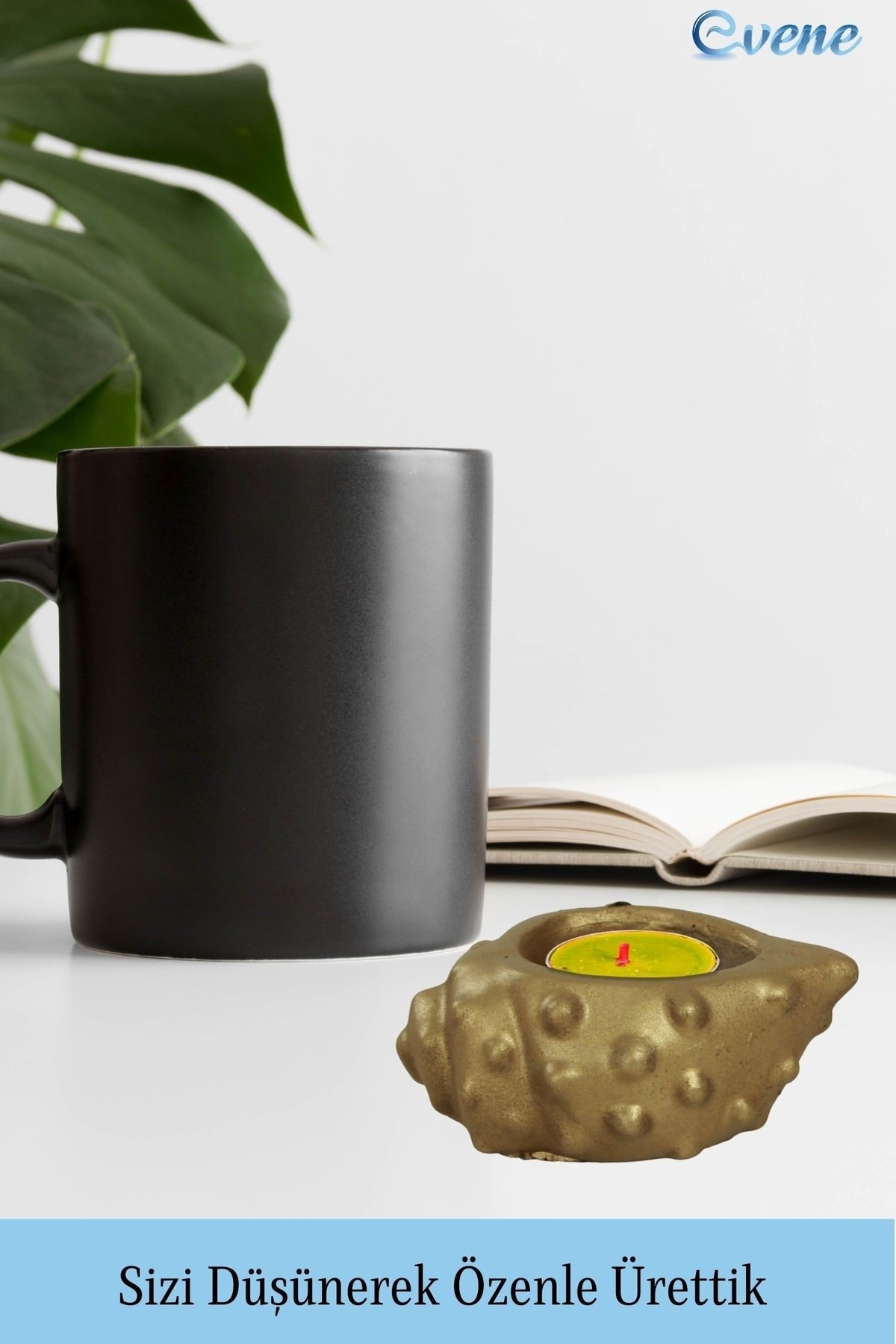 Altın Mumluk Şamdan 3 Adet Tealight Uyumlu Deniz Kabuğu Mum Model