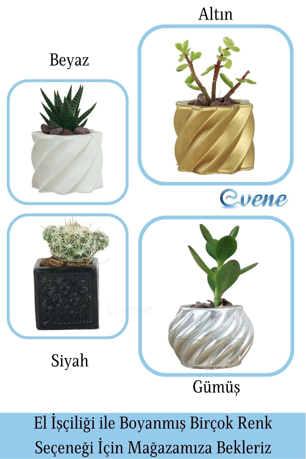 Mini Çiçek Saksı Küçük Sukulent Altın Kaktüs Saksısı Kalın Çizgili Yıldız Model